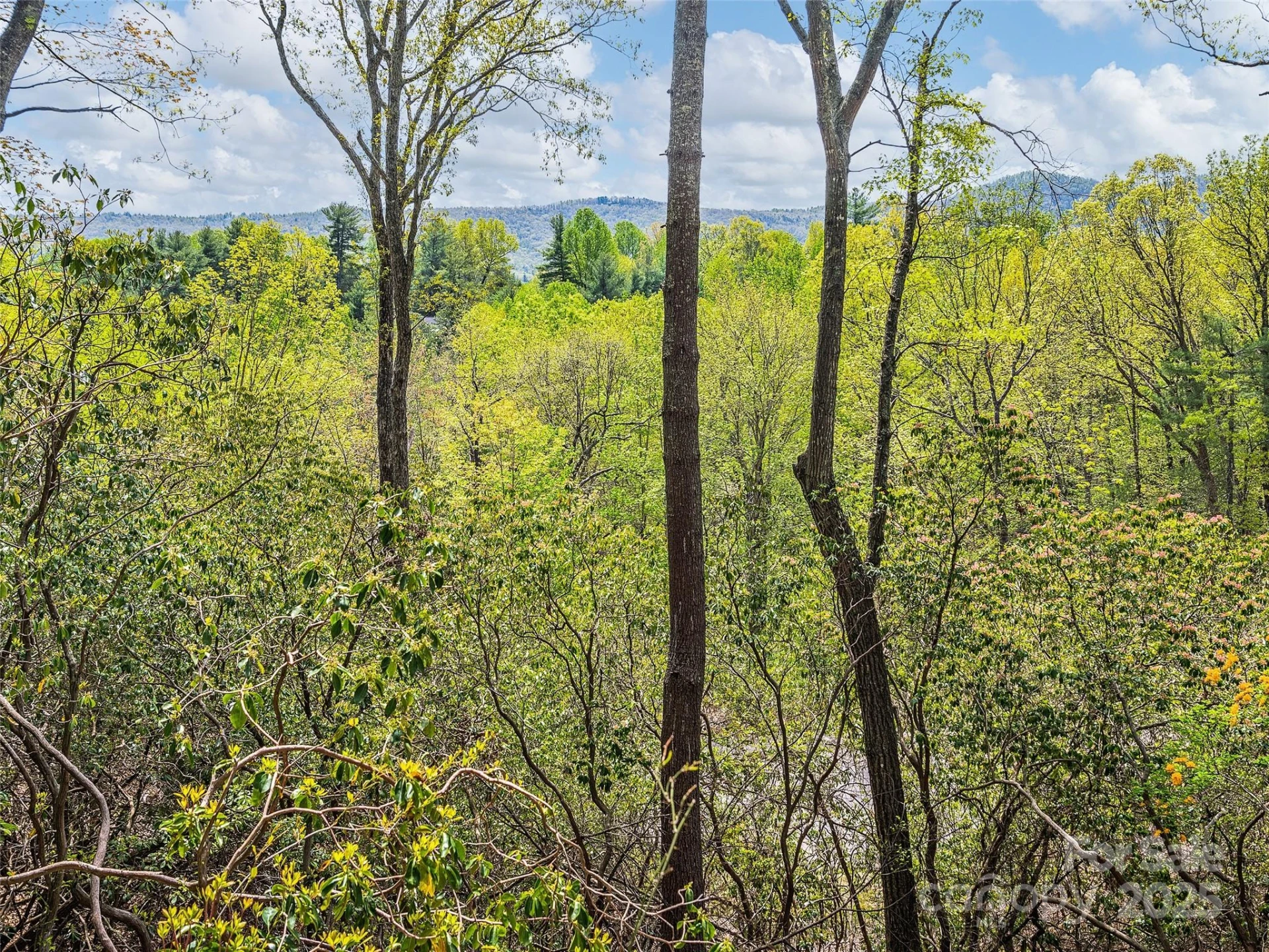 Lot #56 Winterberry Drive - Photo 2