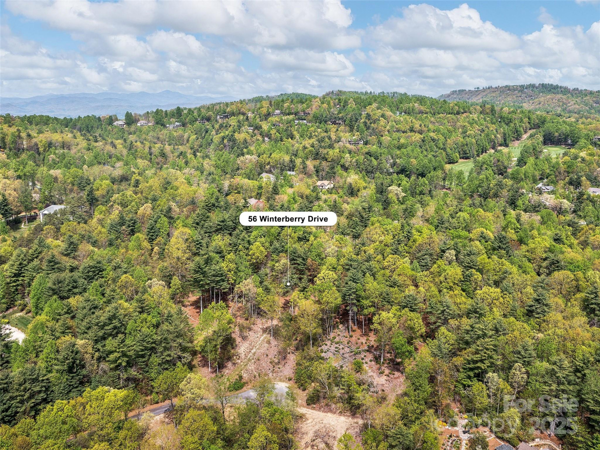 Lot #56 Winterberry Drive - Photo 3