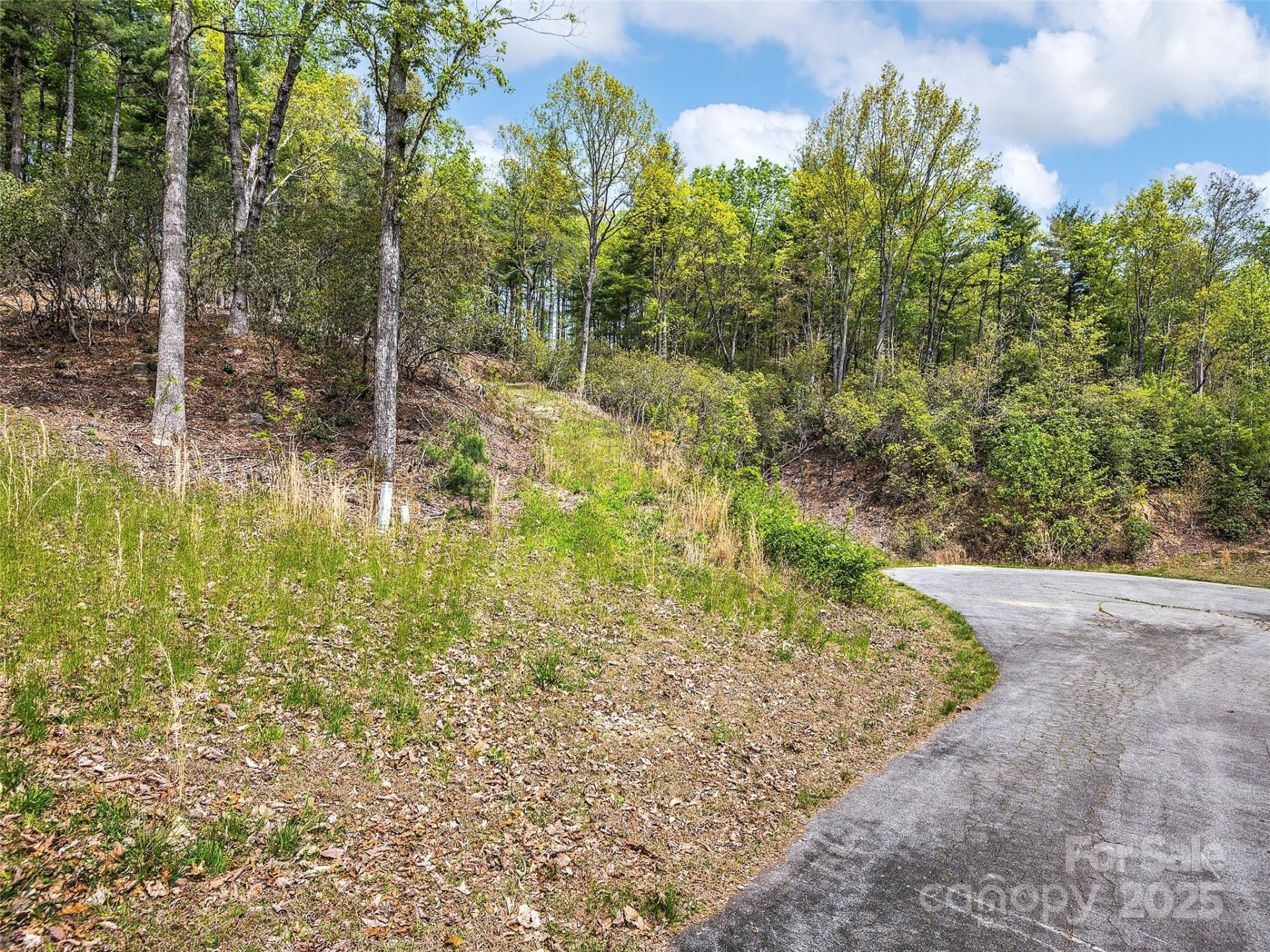 Lot #56 Winterberry Drive - Photo 5