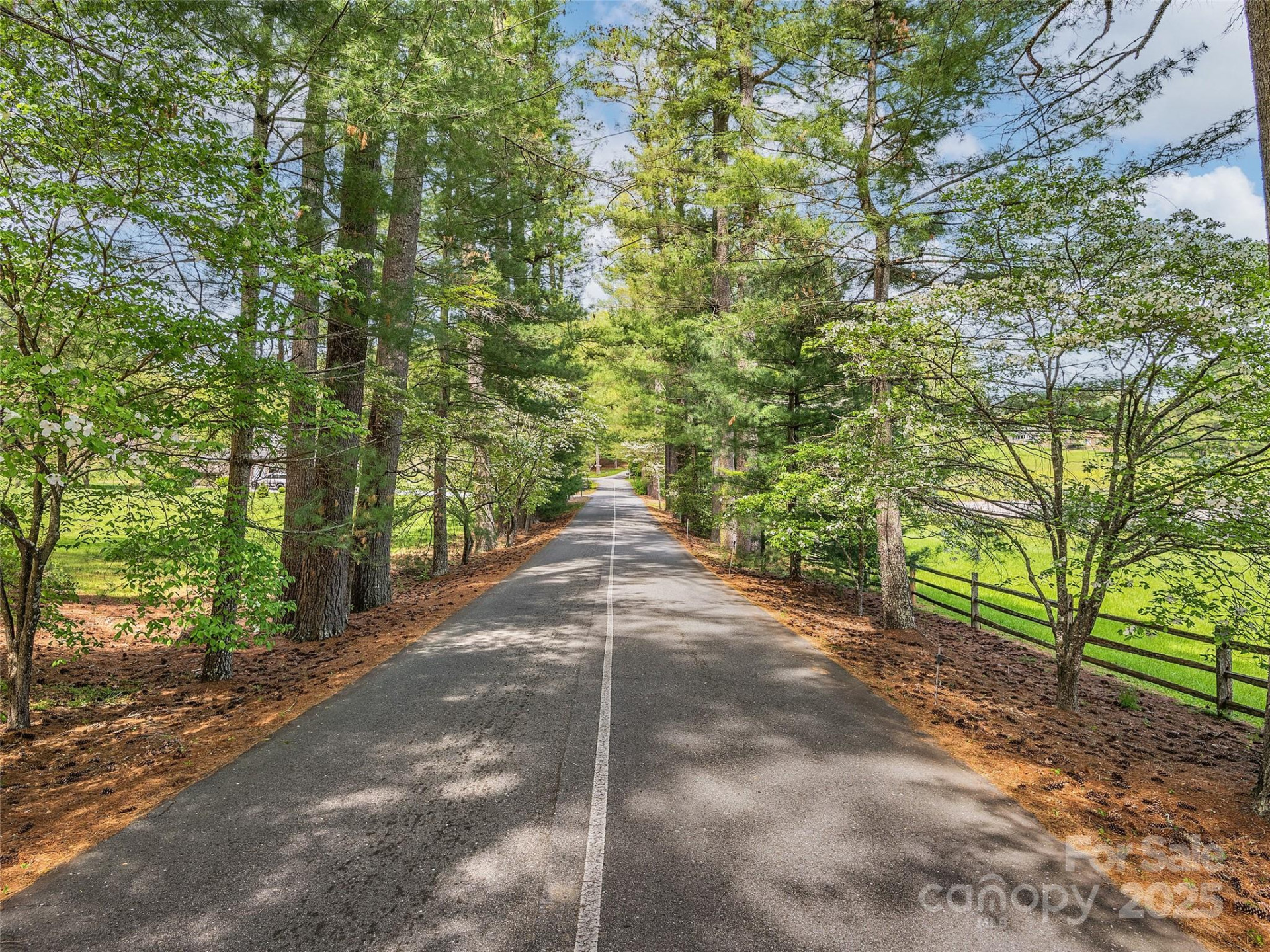 Lot #56 Winterberry Drive - Photo 7