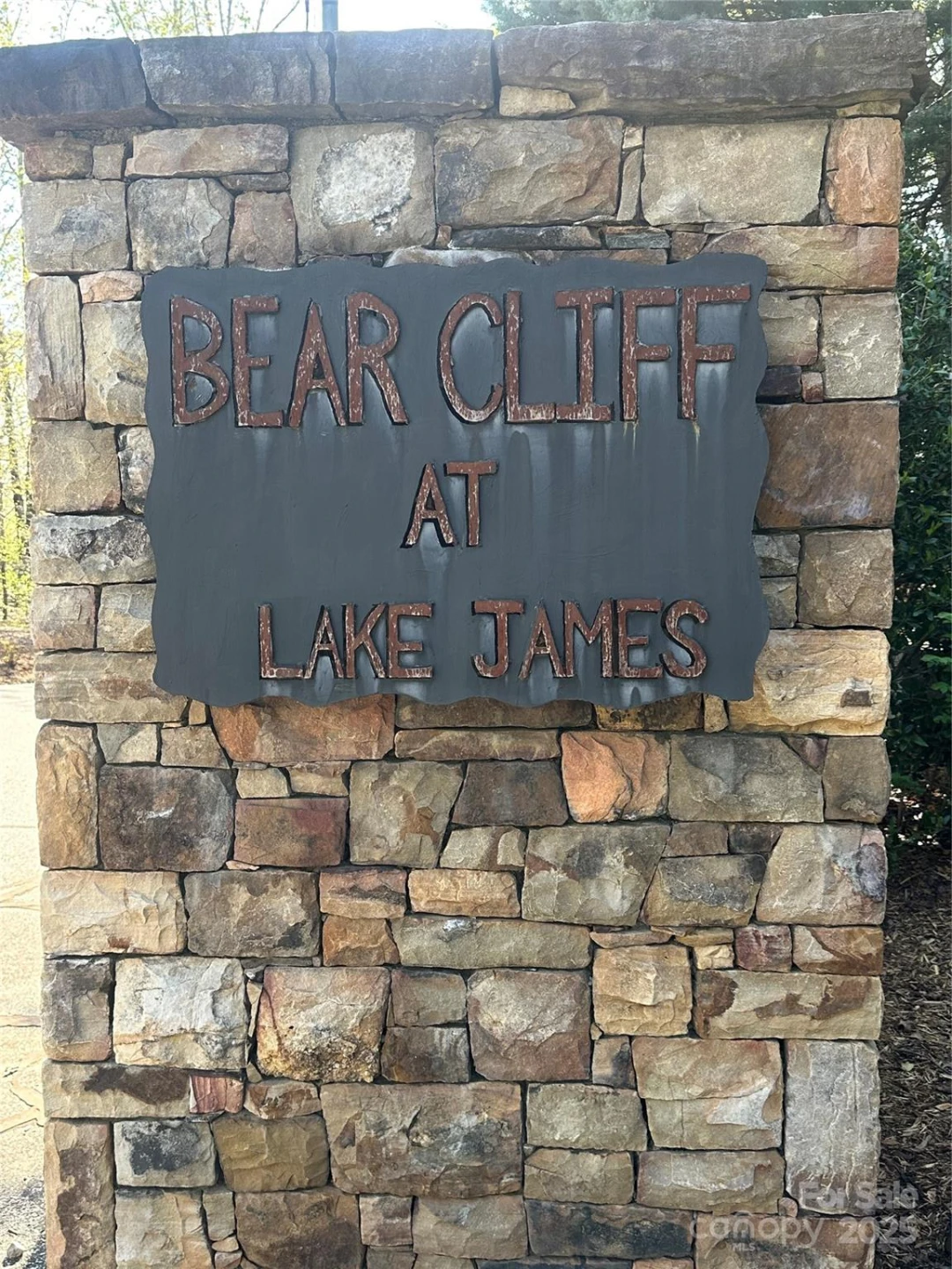 V/L Lake Crest Drive #5 - Photo 8