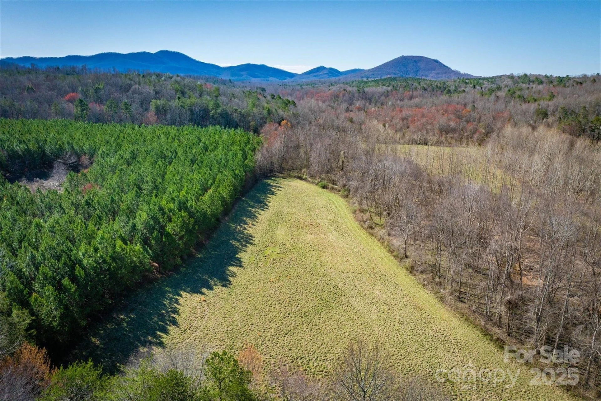 4970 Morrison Road - Photo 12