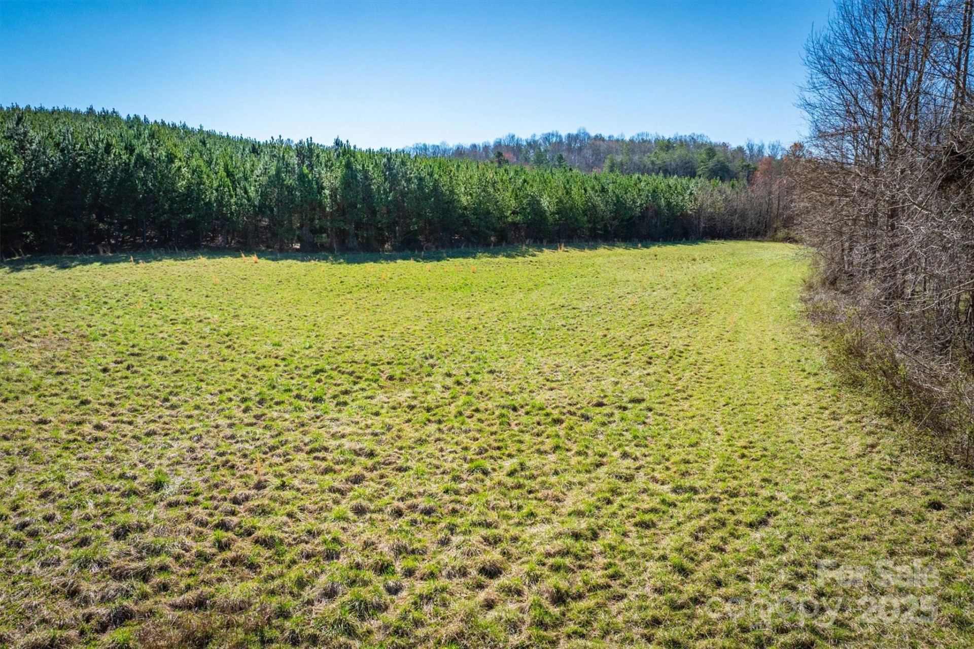 4970 Morrison Road - Photo 13