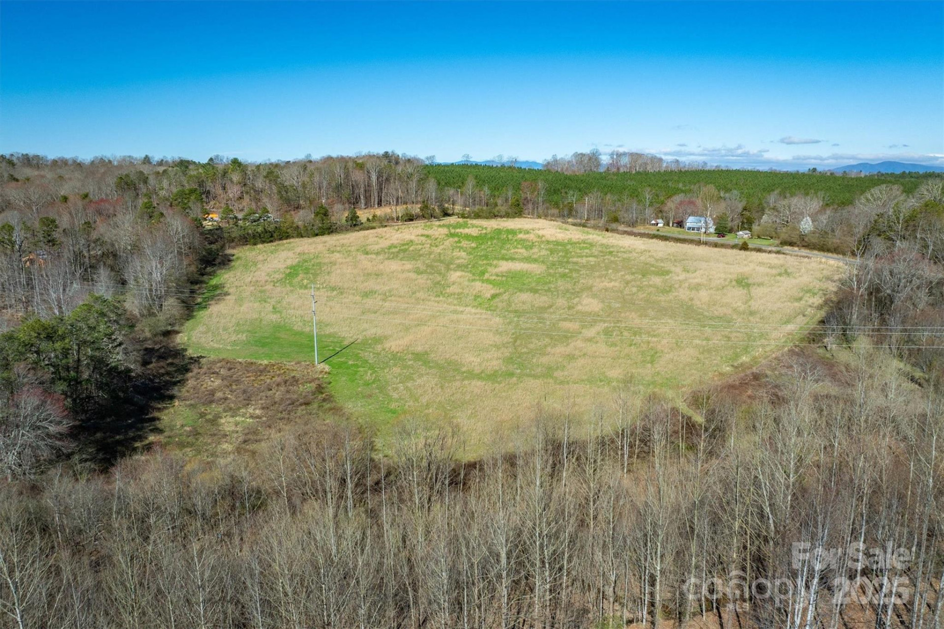 4970 Morrison Road - Photo 5