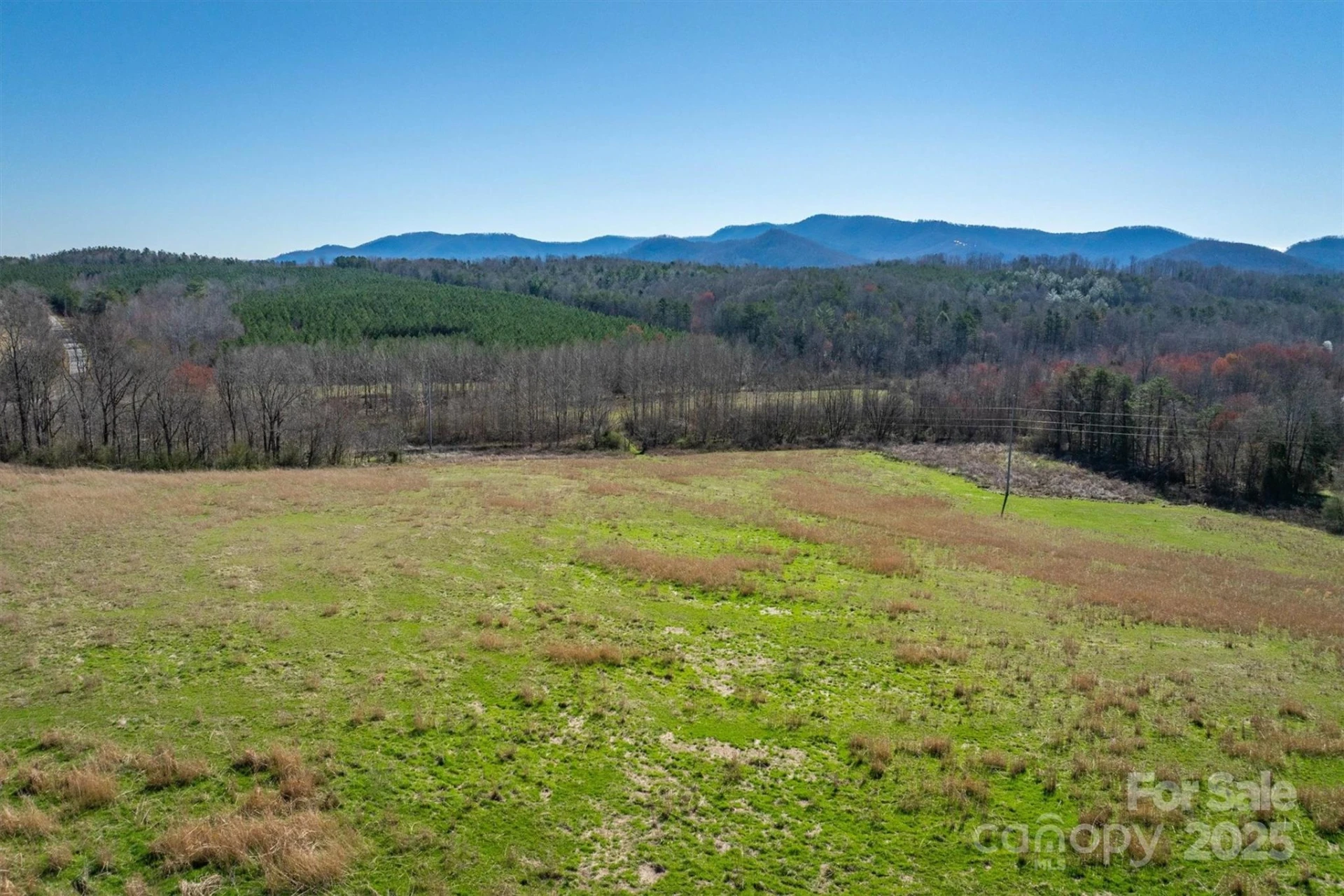 4970 Morrison Road - Photo 6