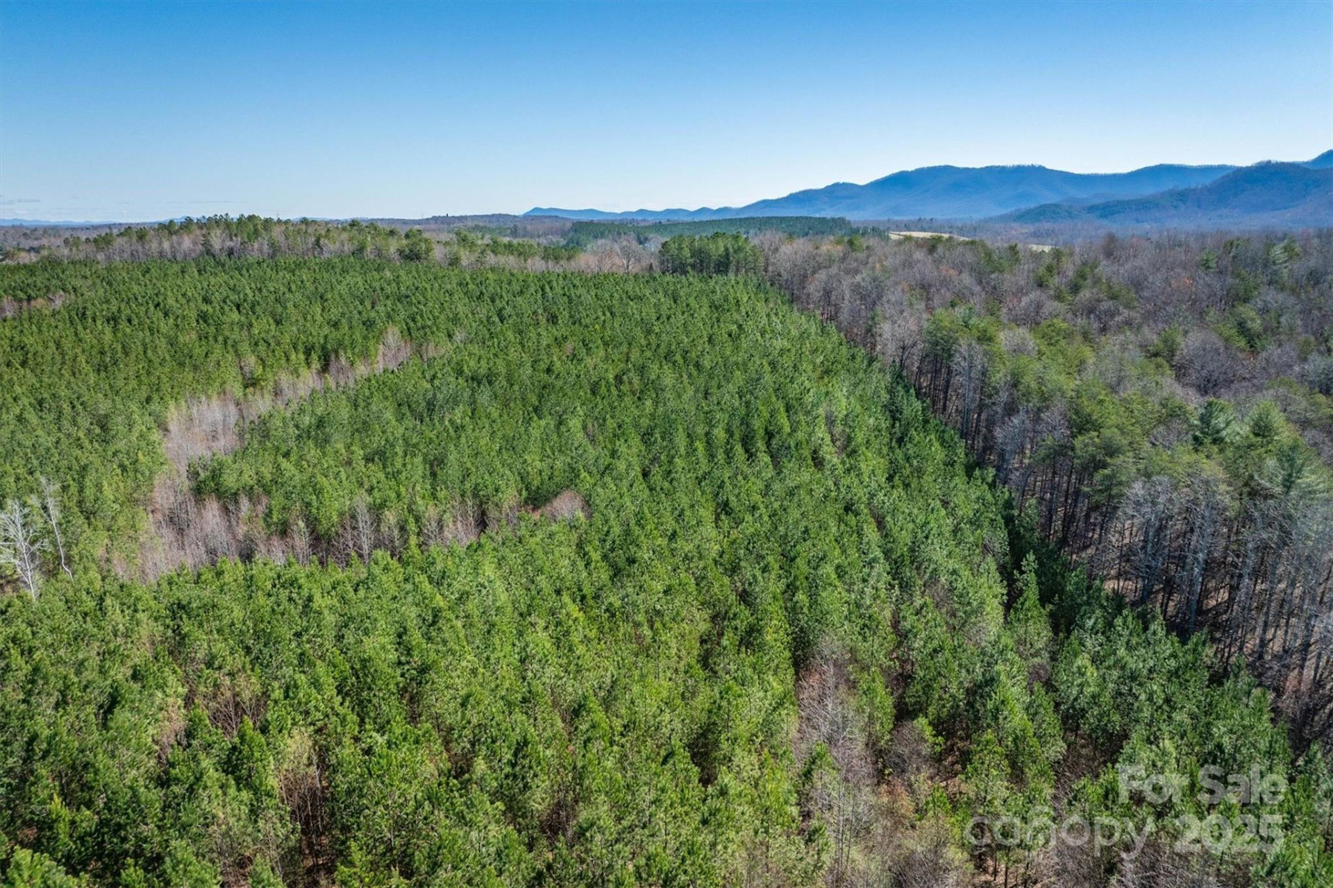 4970 Morrison Road - Photo 7