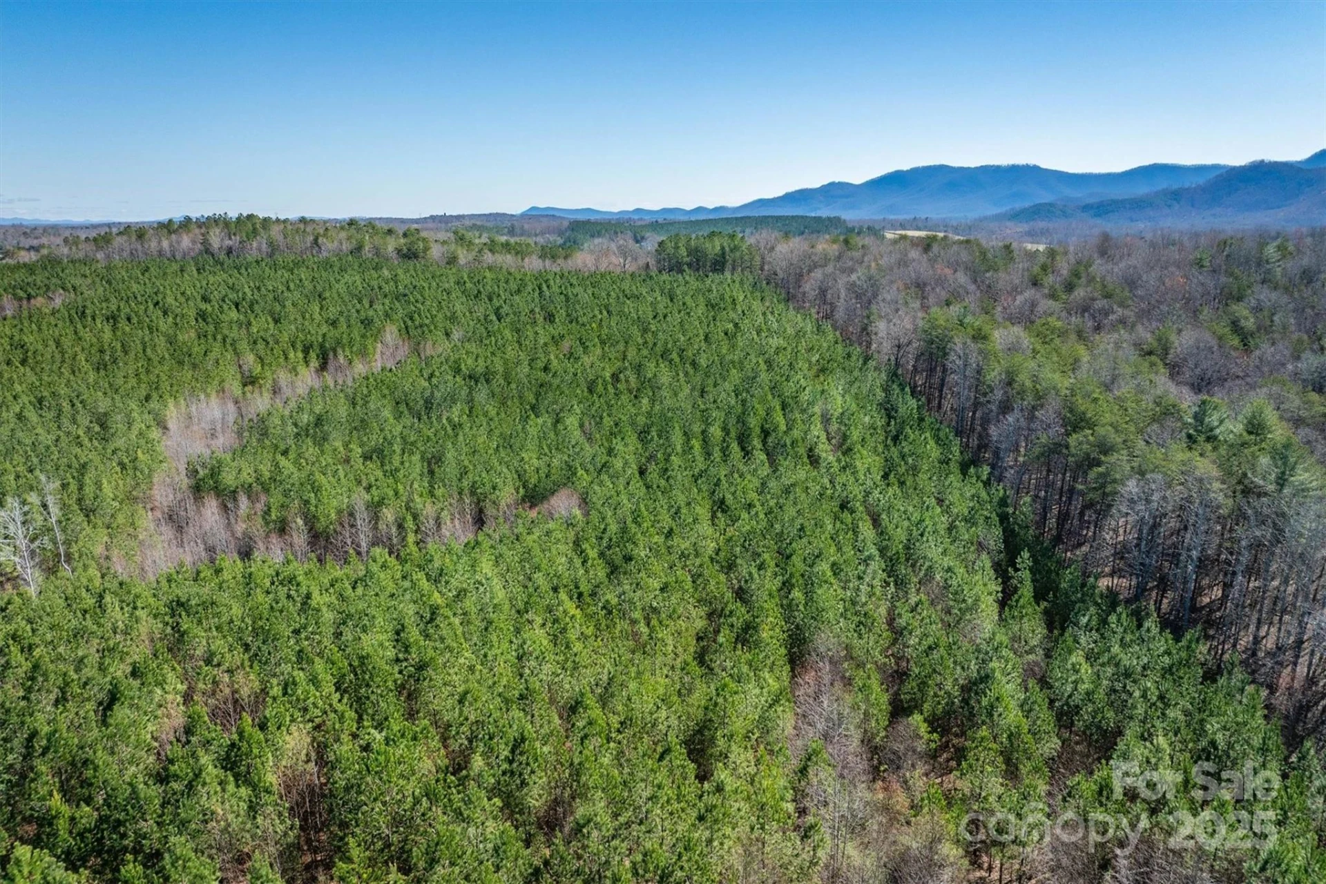 4970 Morrison Road - Photo 7