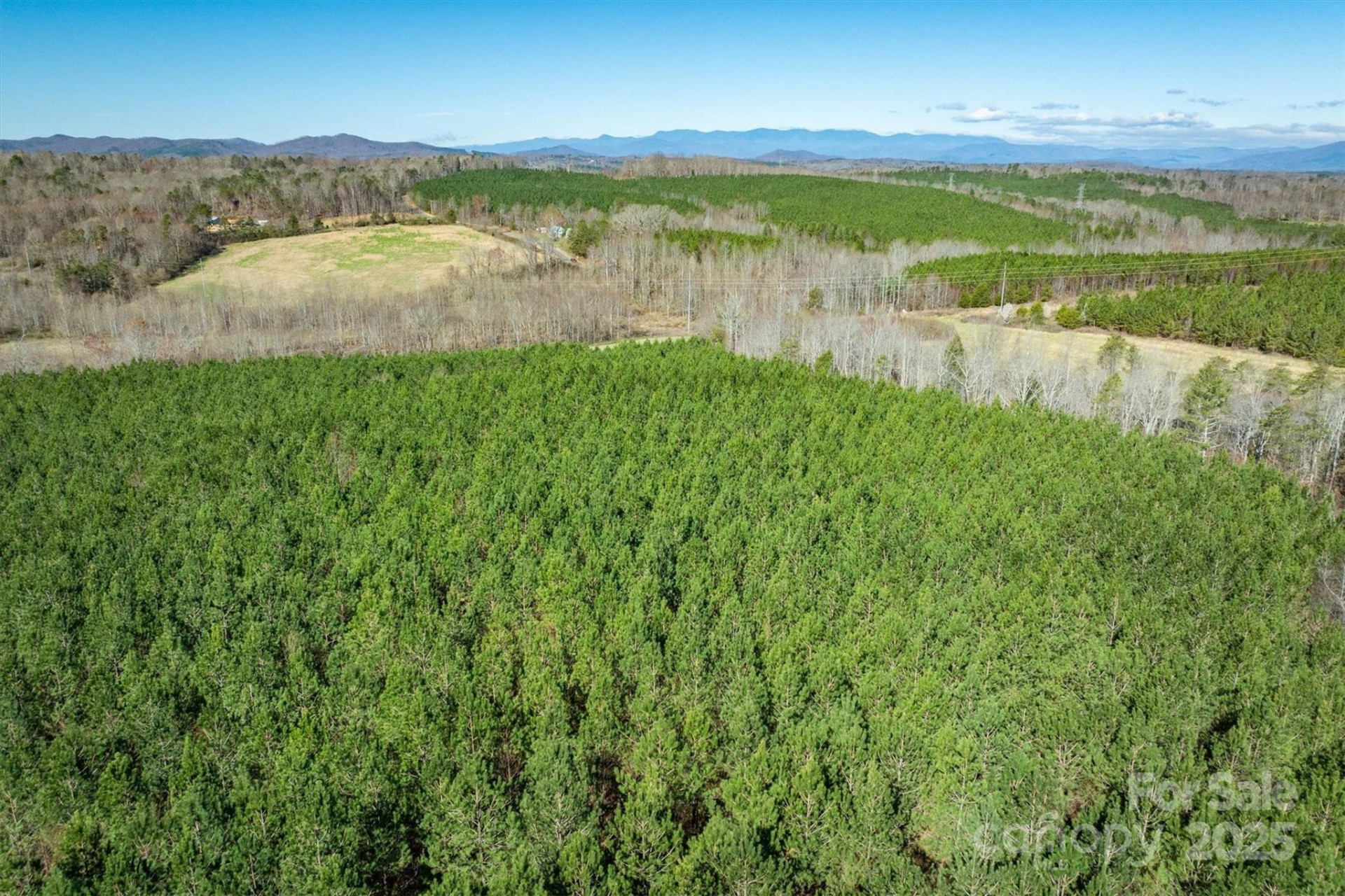 4970 Morrison Road - Photo 8