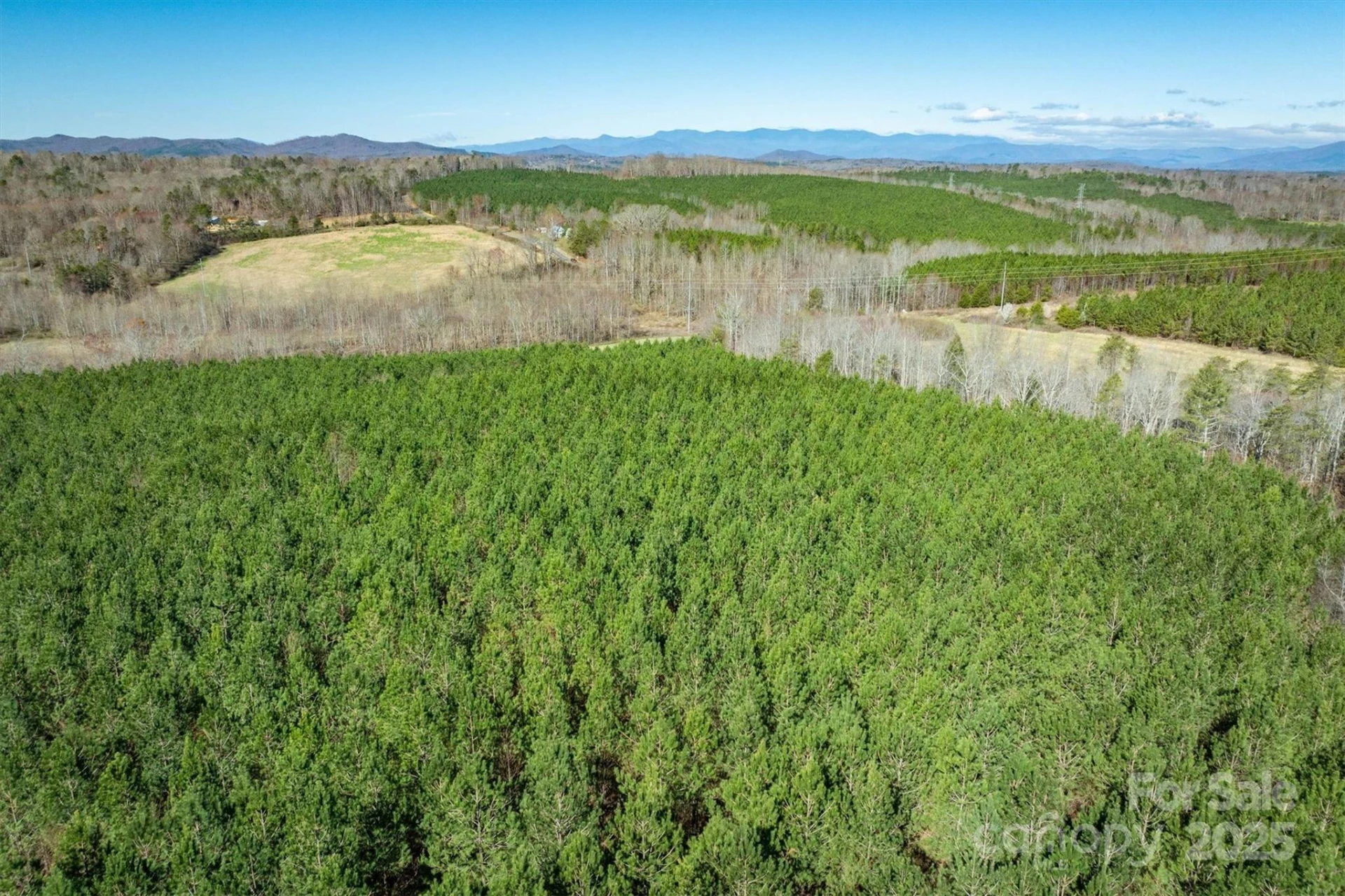 4970 Morrison Road - Photo 8