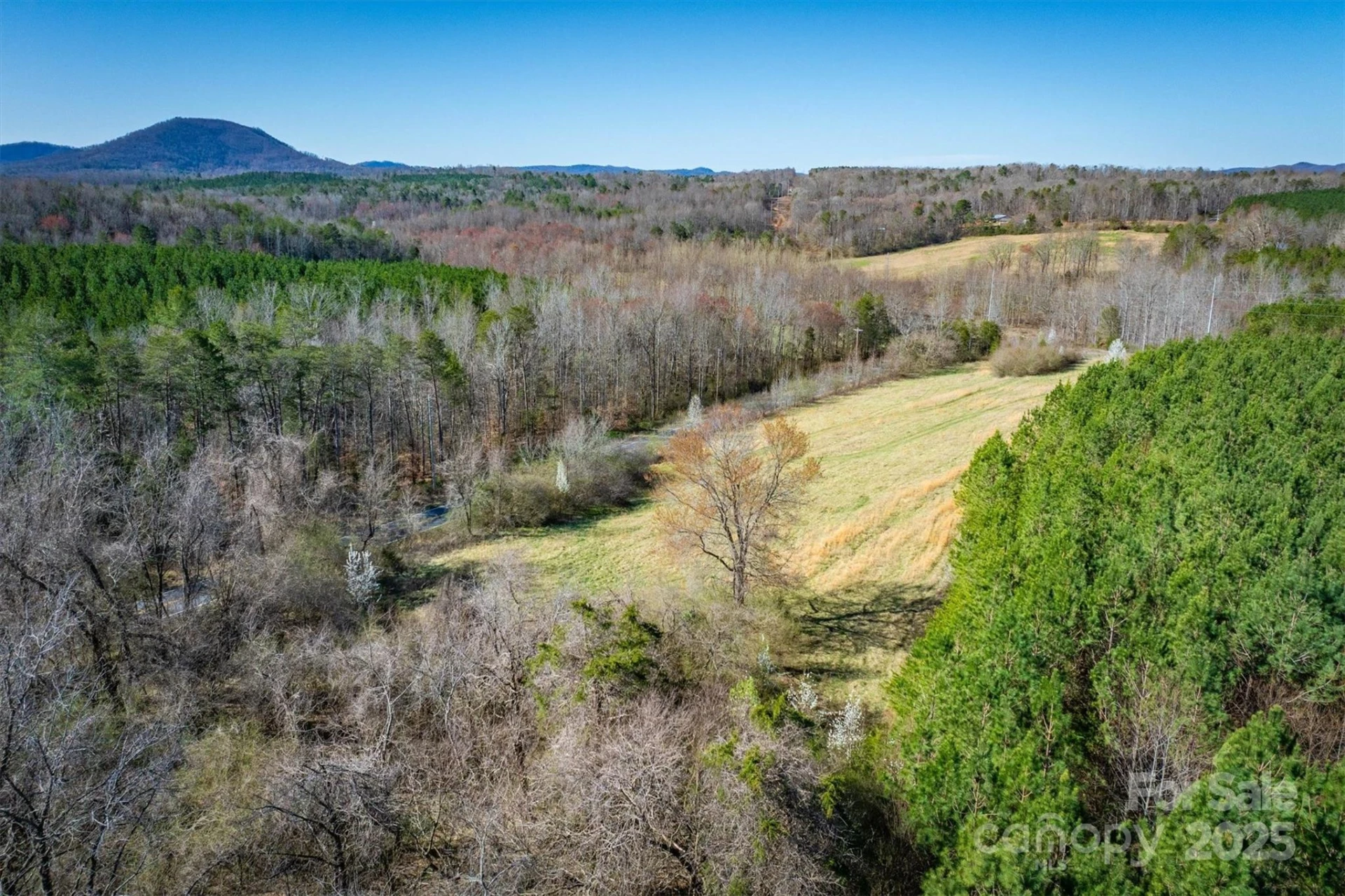 4970 Morrison Road - Photo 9