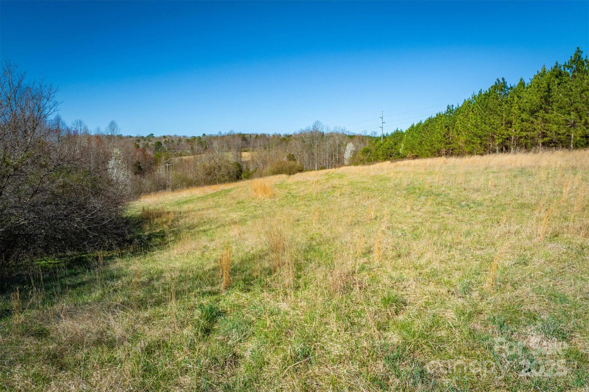 4970 Morrison Road - Photo 10