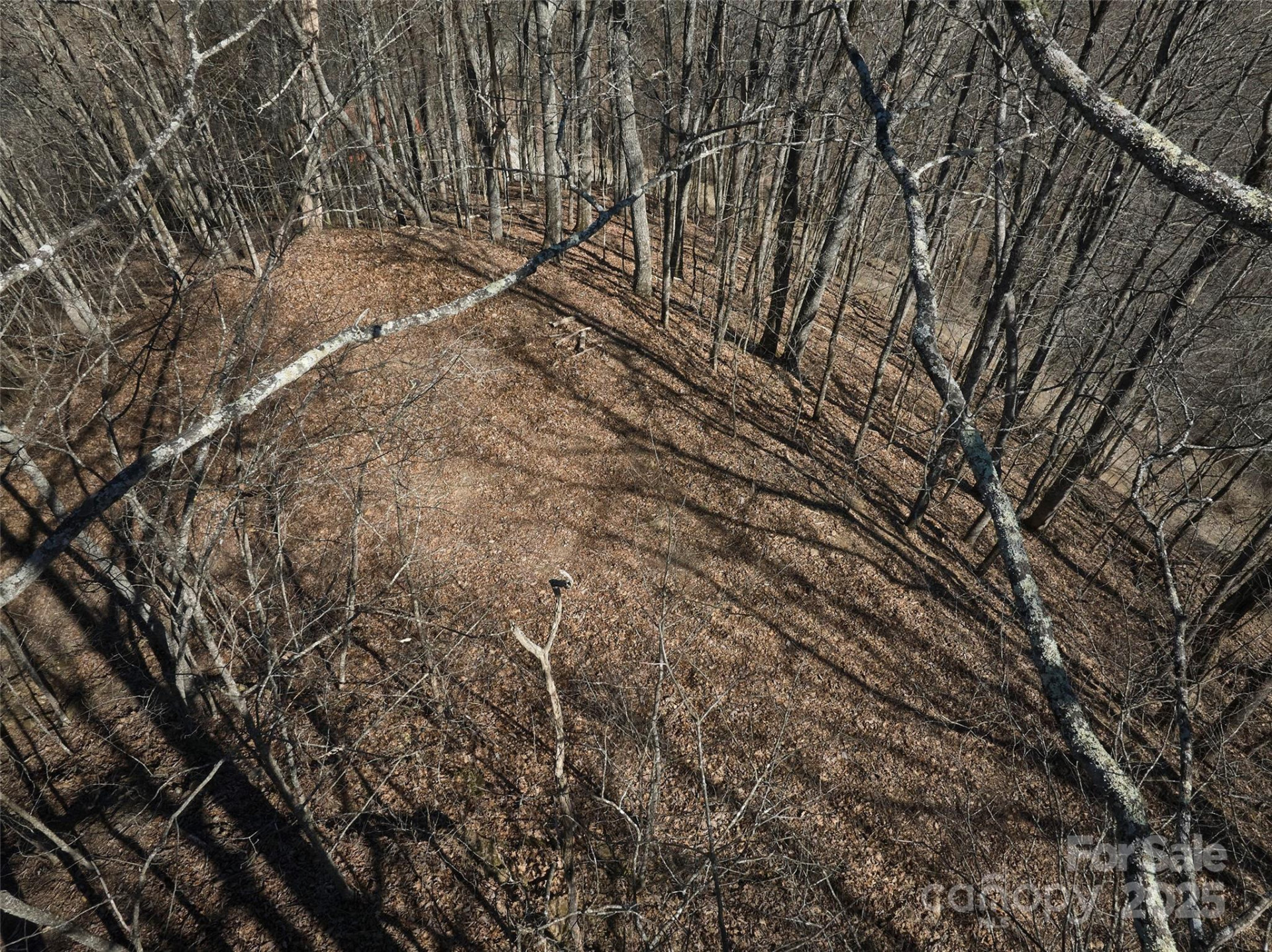 0 Grouse Drive #2 - Photo 4