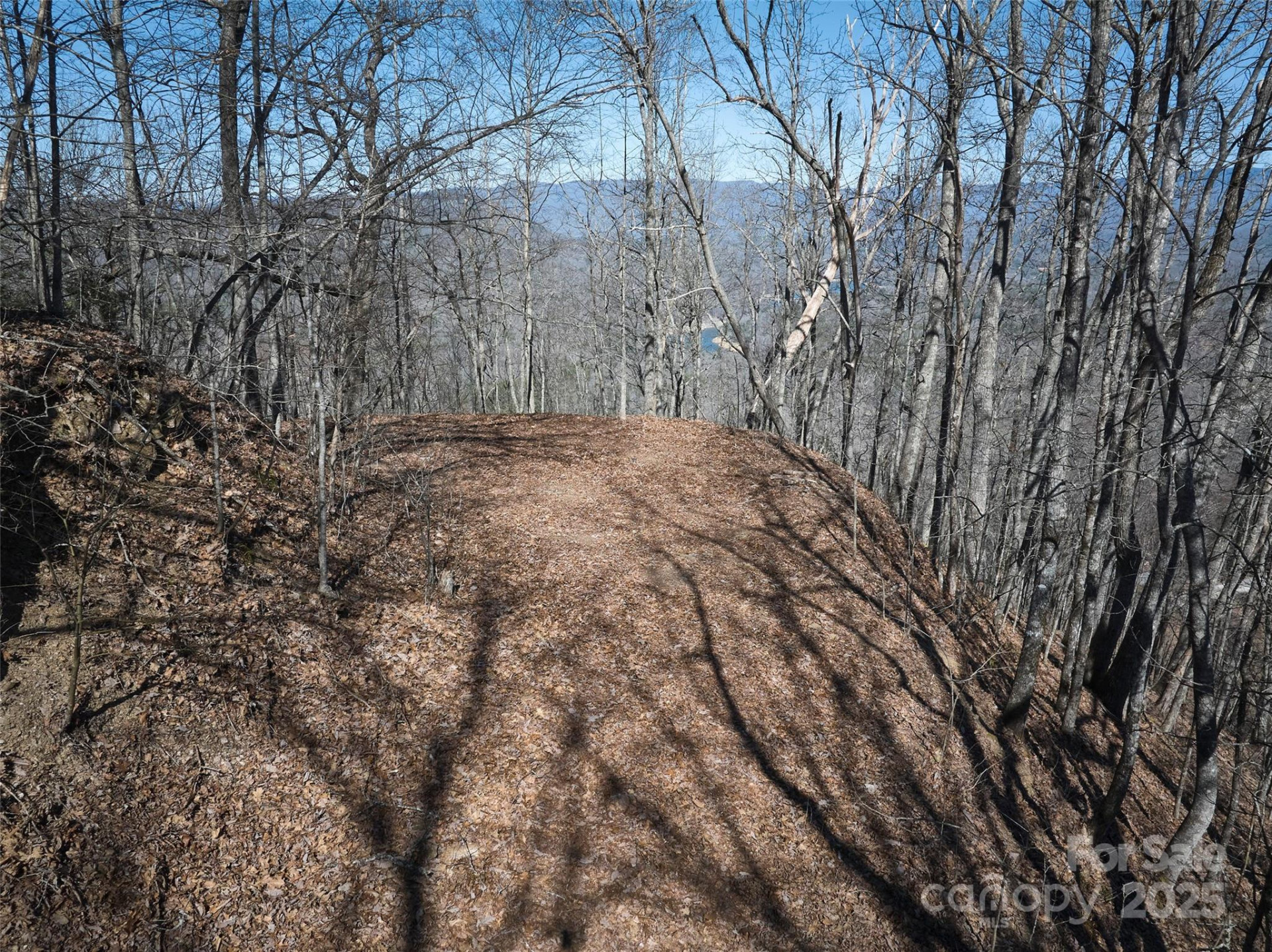 0 Grouse Drive #2 - Photo 6