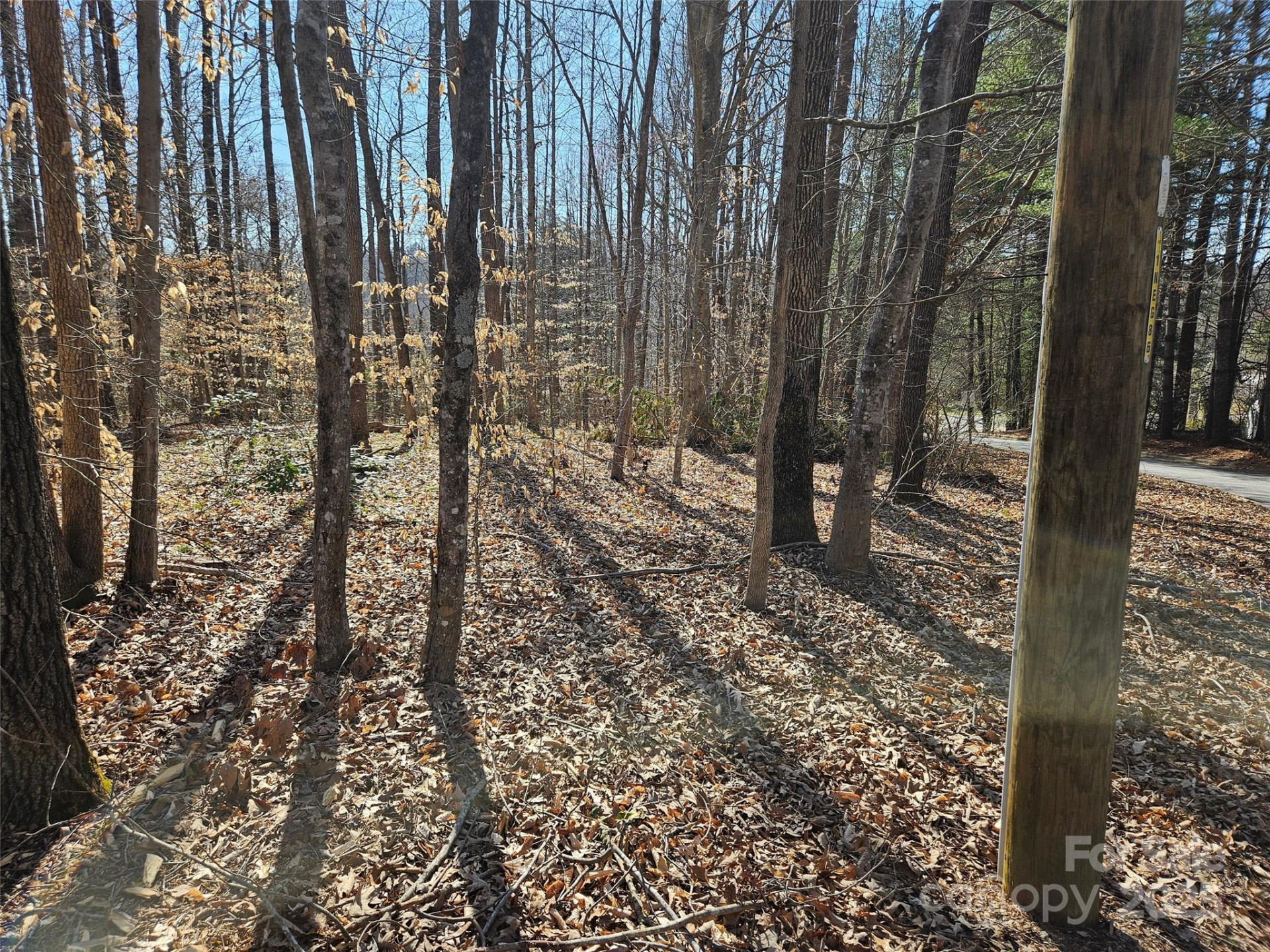 0 General Griffith Circle #35 & 37 - Photo 2