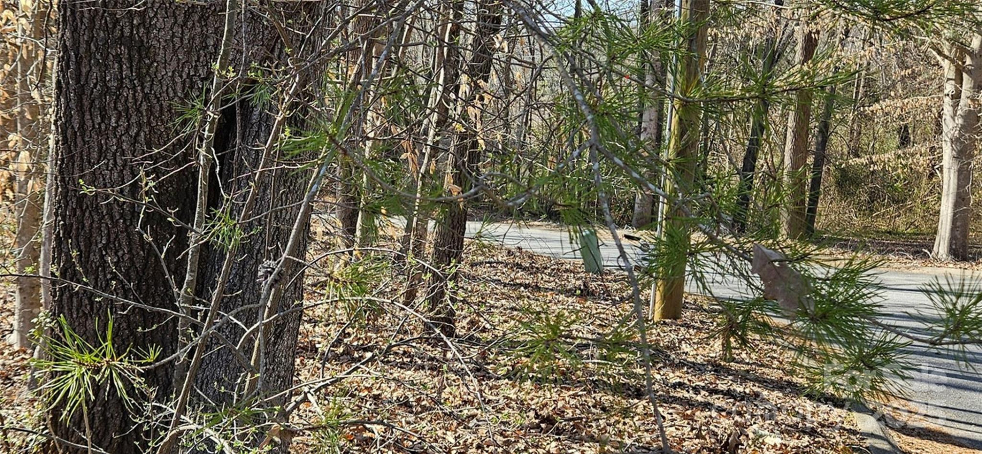 0 General Griffith Circle #35 & 37 - Photo 11