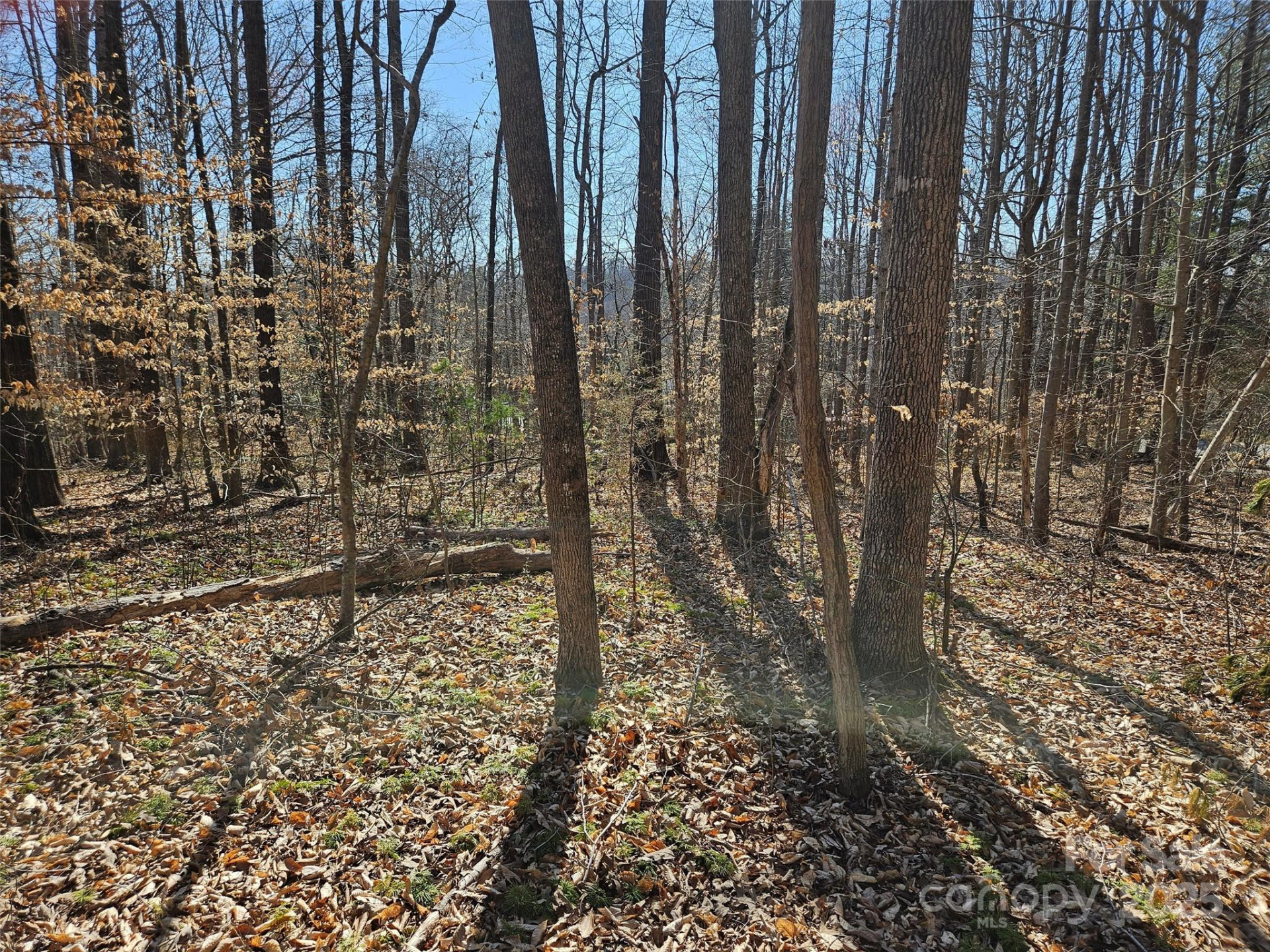 0 General Griffith Circle #35 & 37 - Photo 4