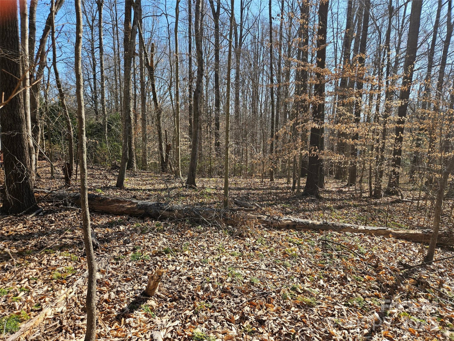 0 General Griffith Circle #35 & 37 - Photo 5