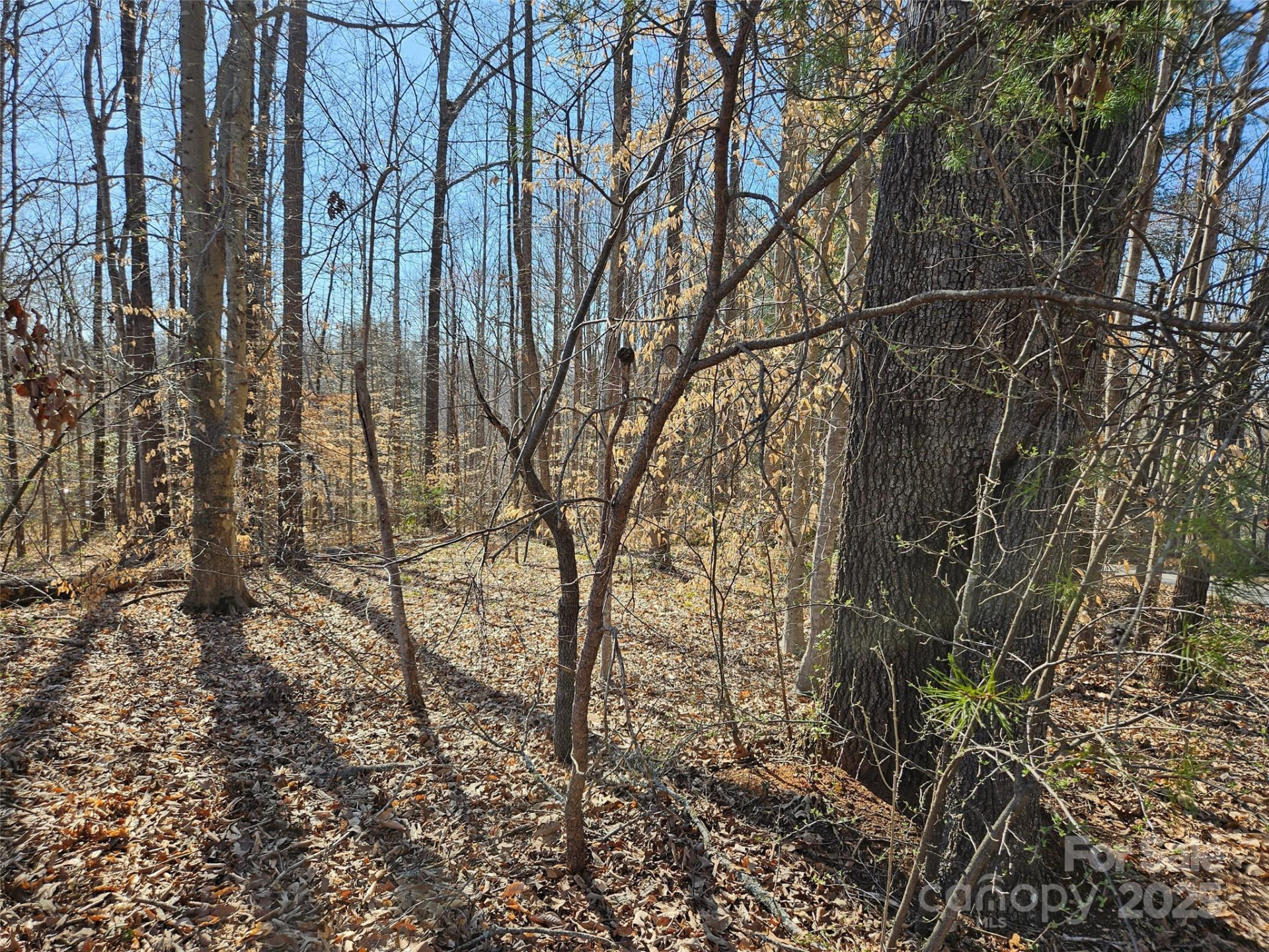 0 General Griffith Circle #35 & 37 - Photo 8