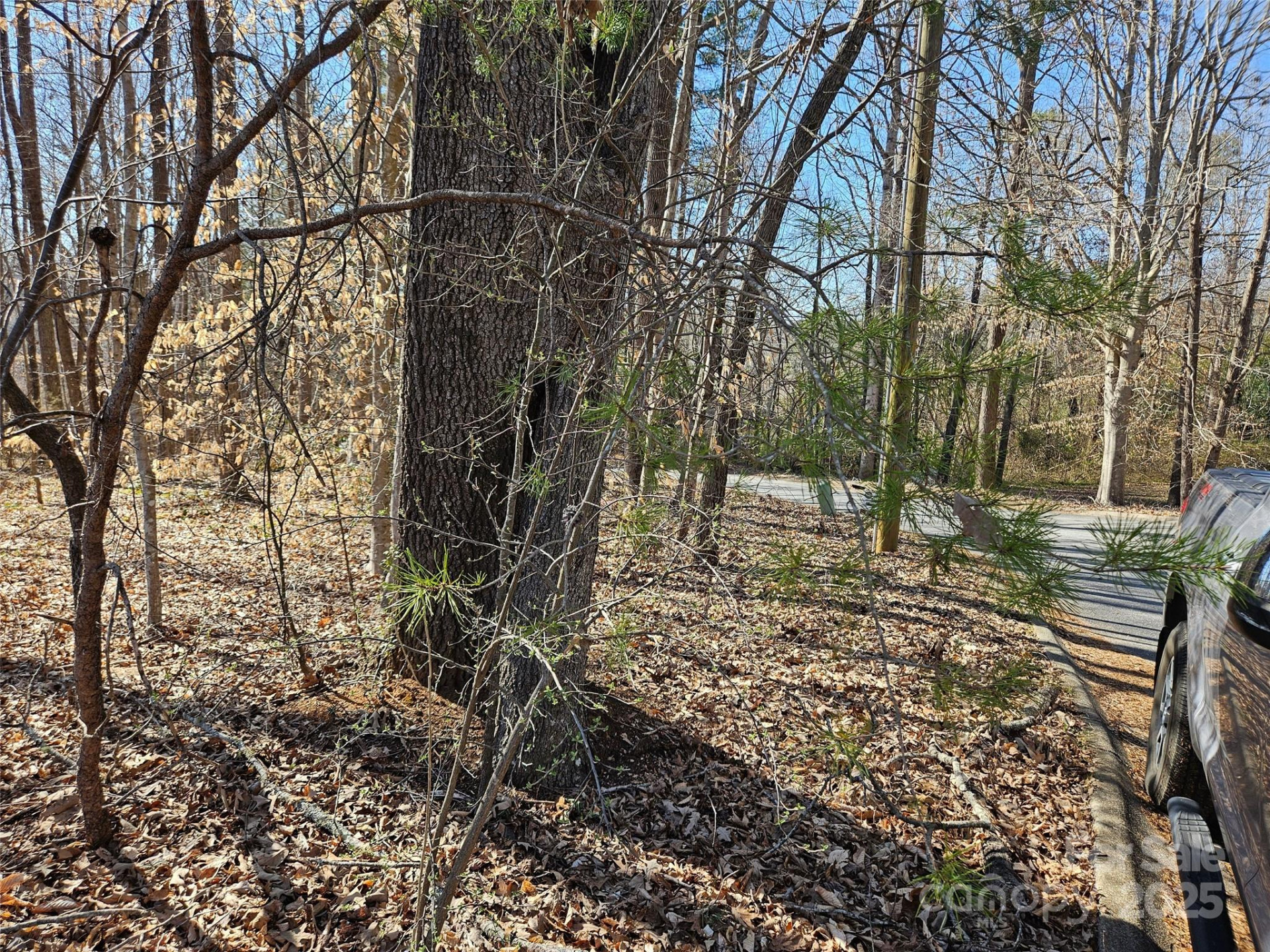 0 General Griffith Circle #35 & 37 - Photo 9