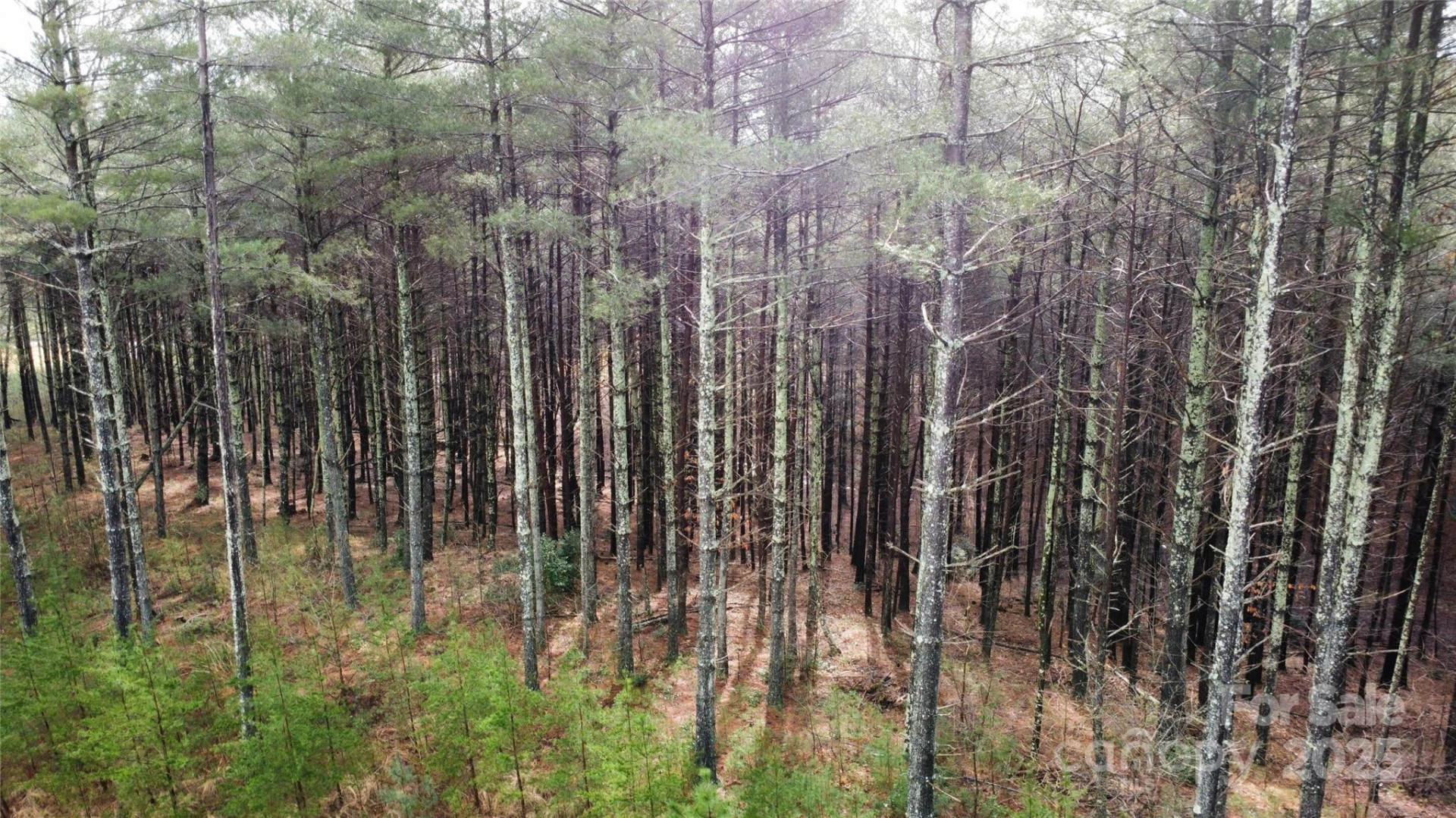 26 Peninsula Reserve Road #26 - Photo 11