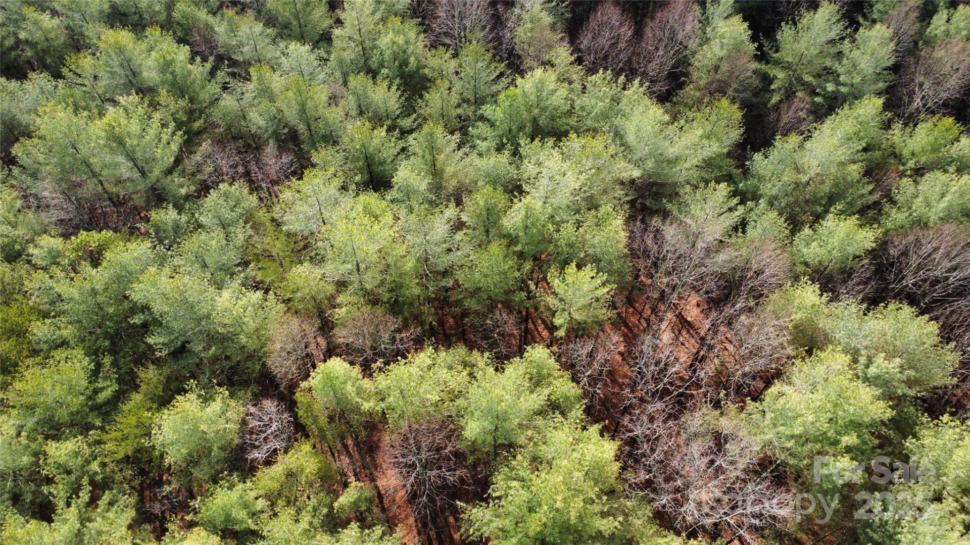 26 Peninsula Reserve Road #26 - Photo 12