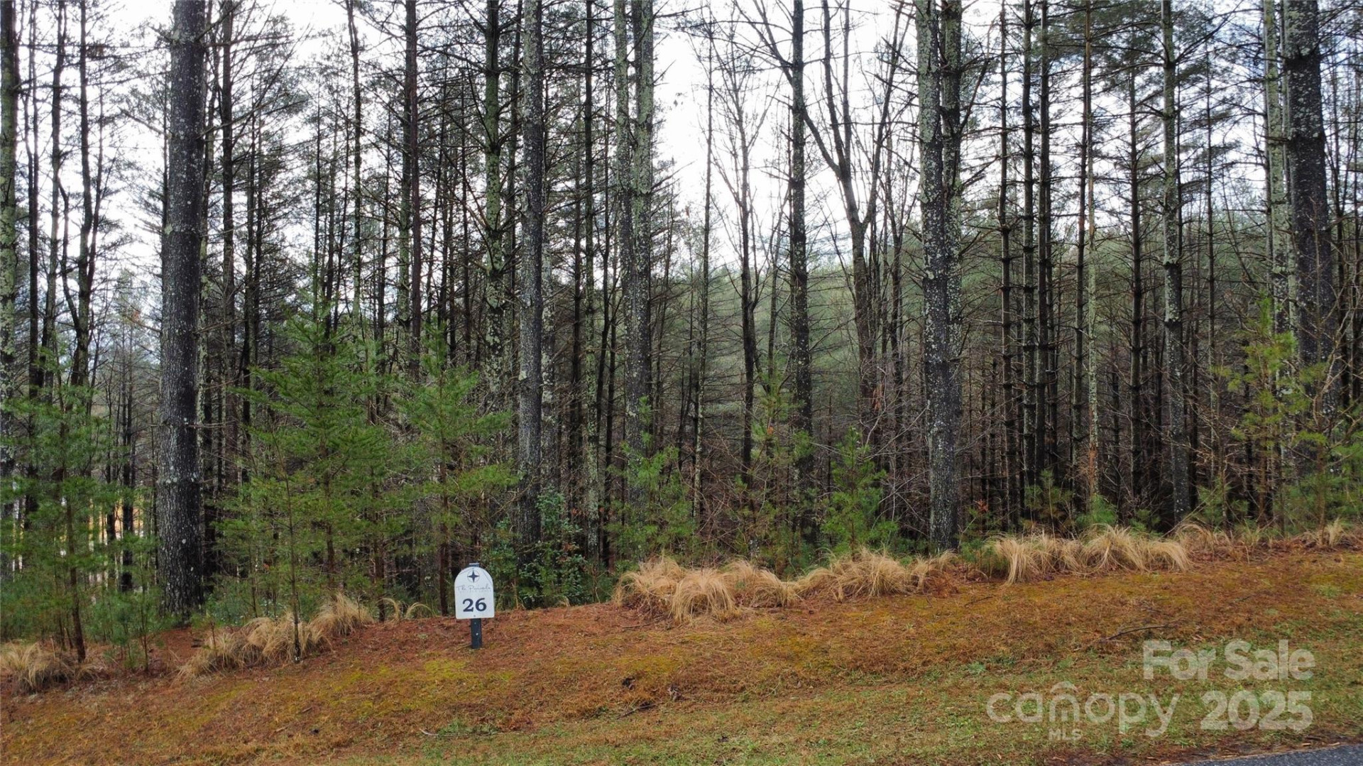 26 Peninsula Reserve Road #26 - Photo 13