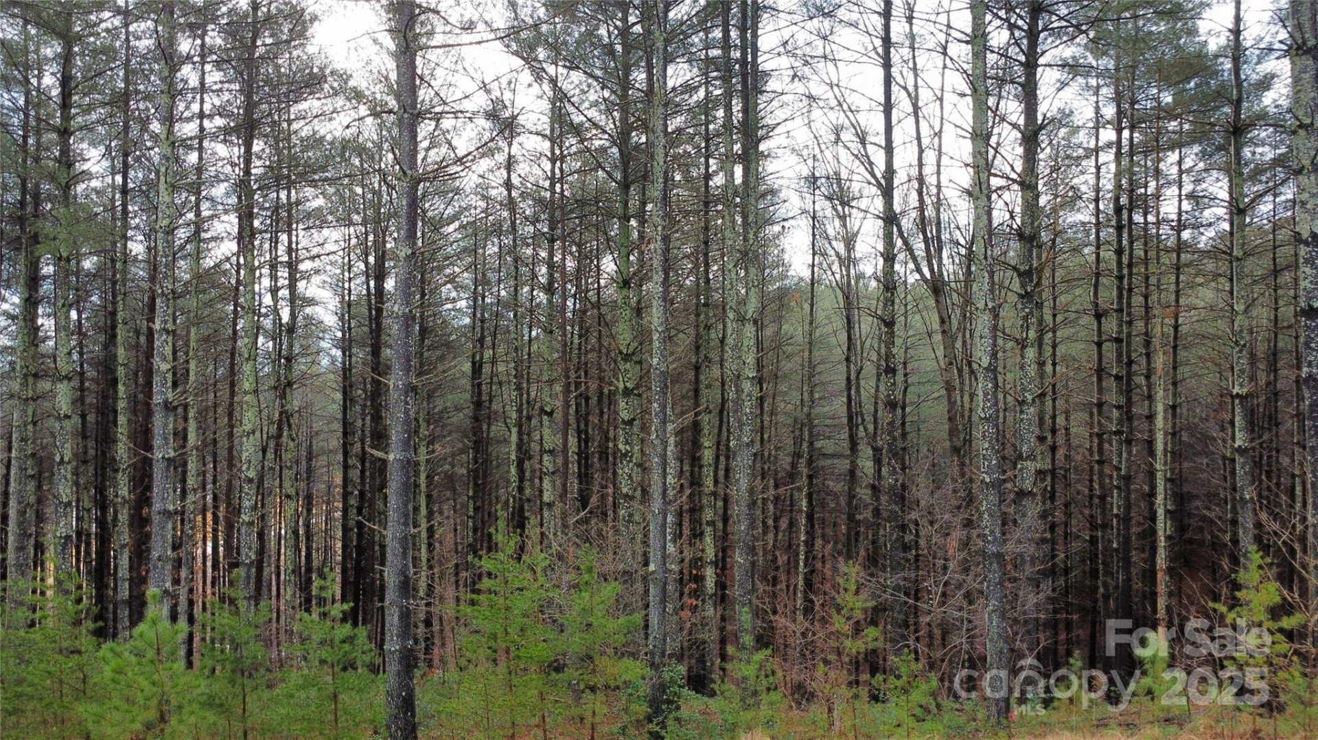 26 Peninsula Reserve Road #26 - Photo 14