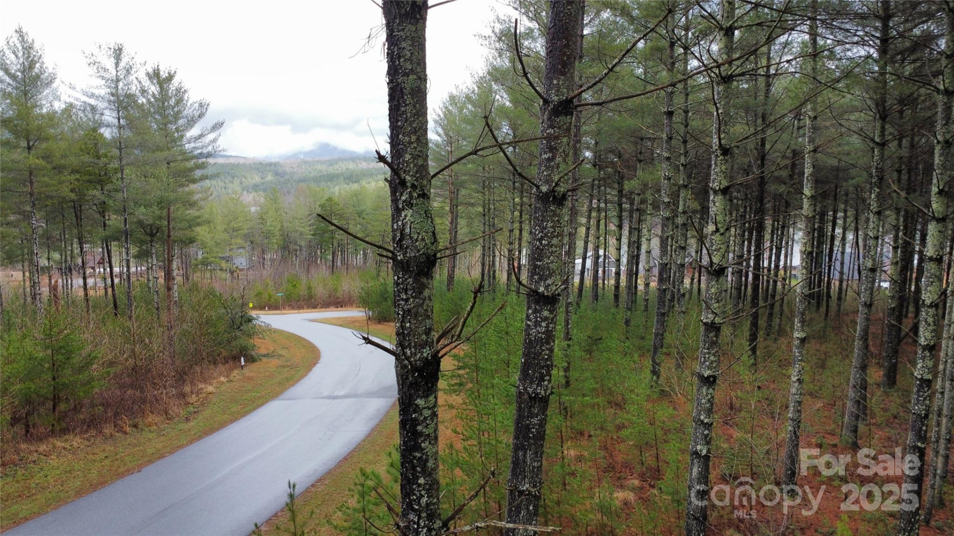 26 Peninsula Reserve Road #26 - Photo 3