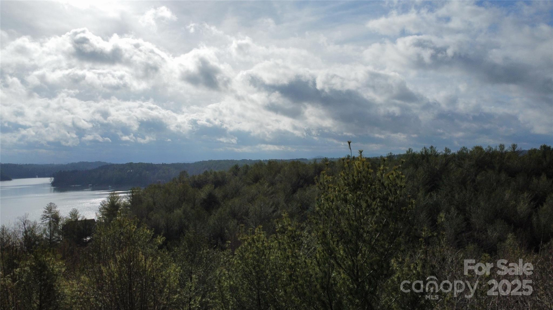 26 Peninsula Reserve Road #26 - Photo 5