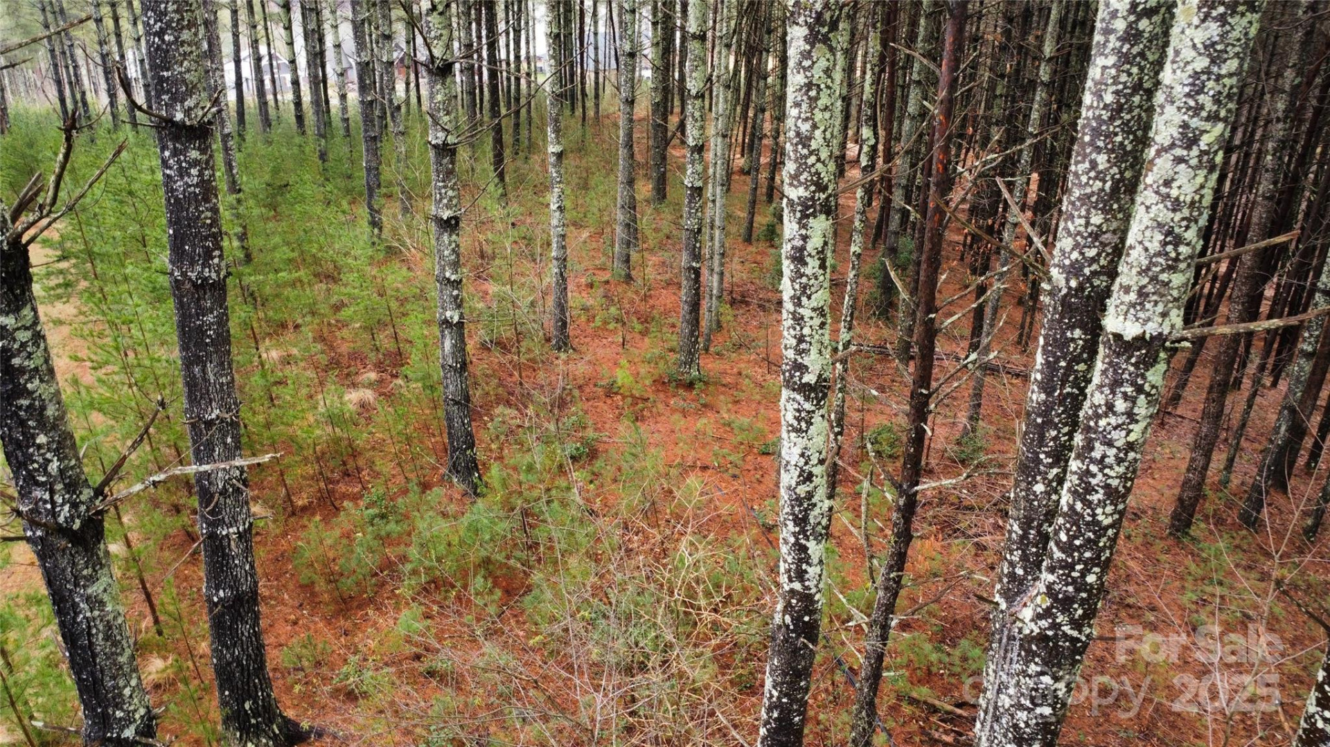 26 Peninsula Reserve Road #26 - Photo 7