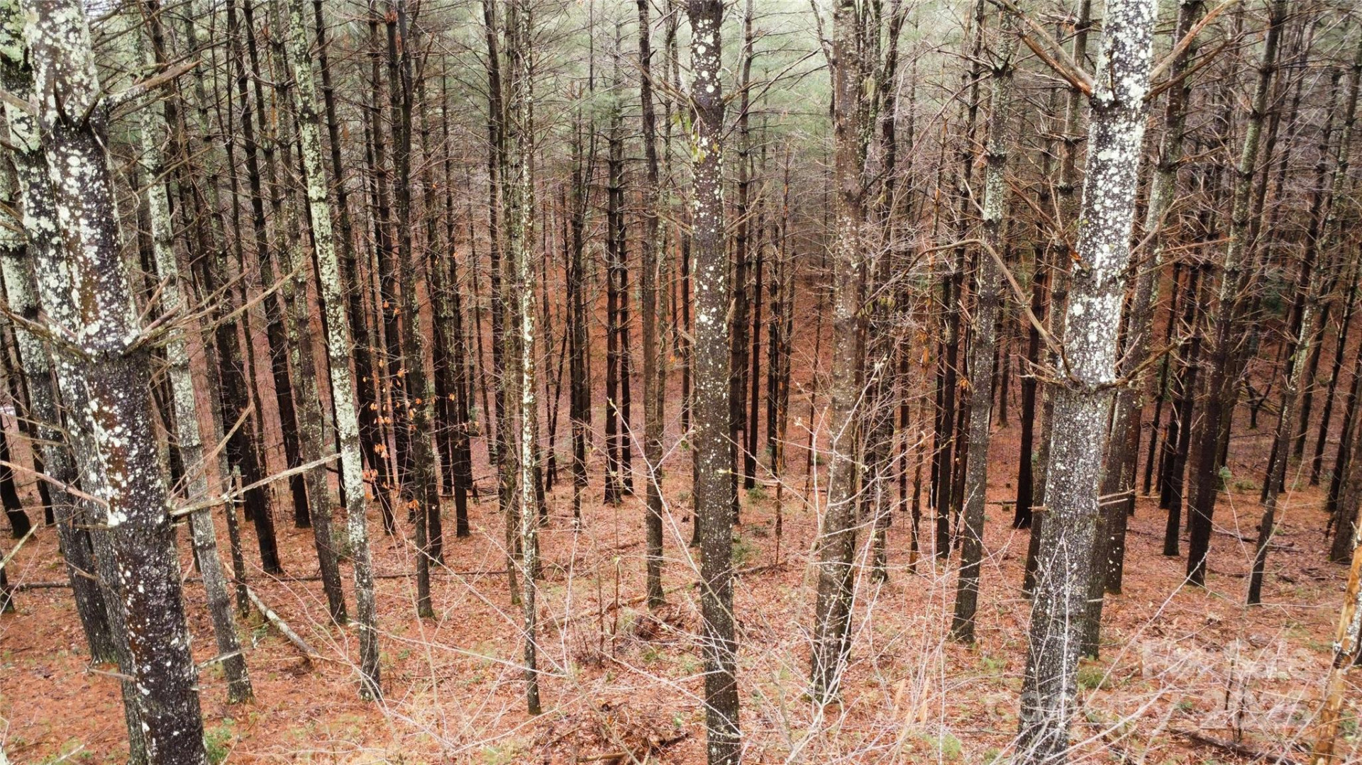 26 Peninsula Reserve Road #26 - Photo 8