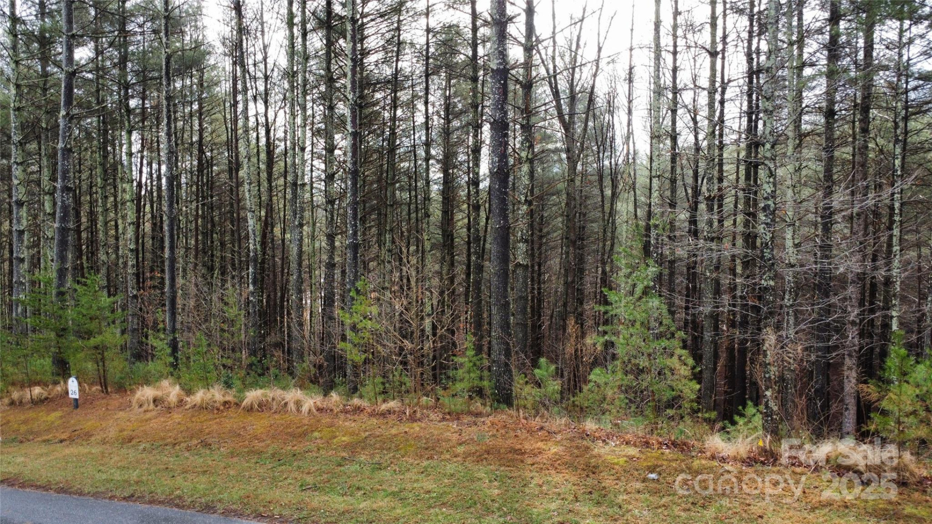 26 Peninsula Reserve Road #26 - Photo 9