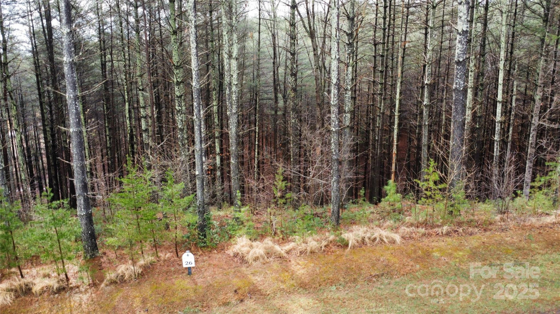 26 Peninsula Reserve Road #26 - Photo 10