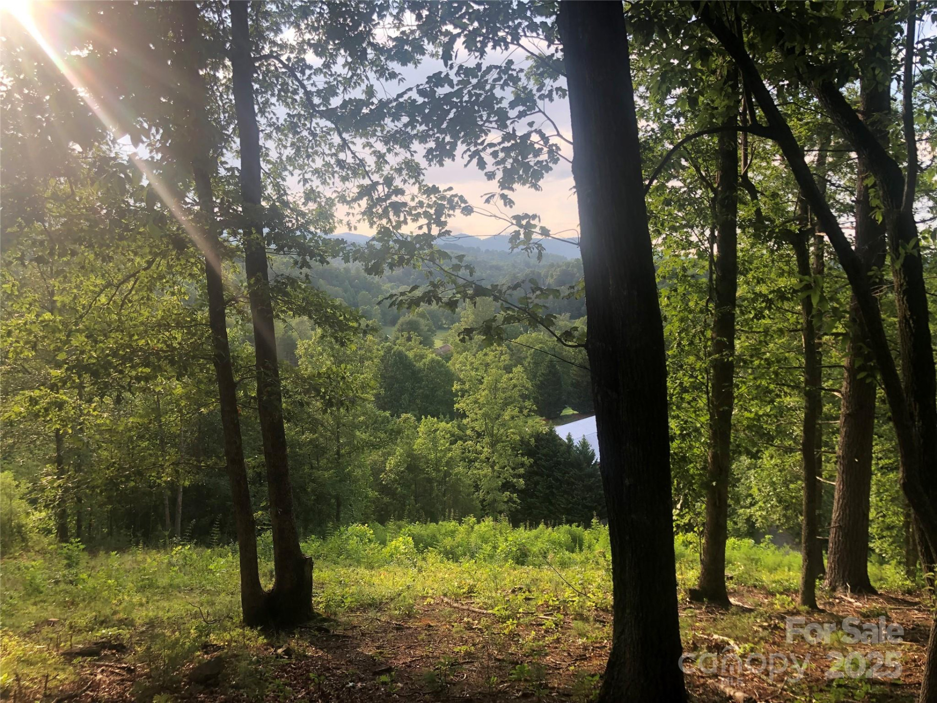 31 Timber Hill Drive #19 - Photo 4