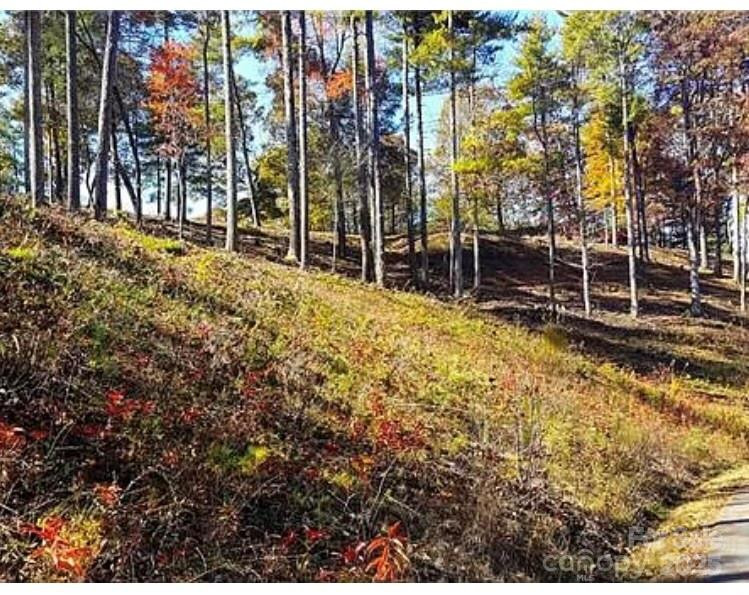 31 Timber Hill Drive #19 - Photo 5