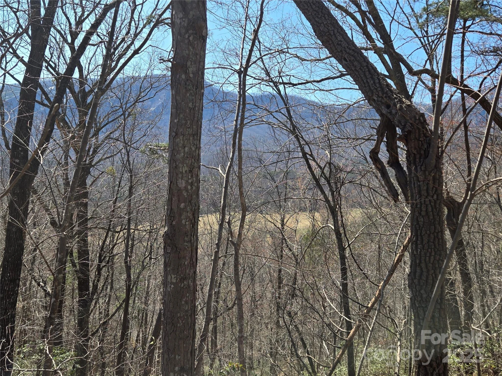 Lot 57 Banjo Court