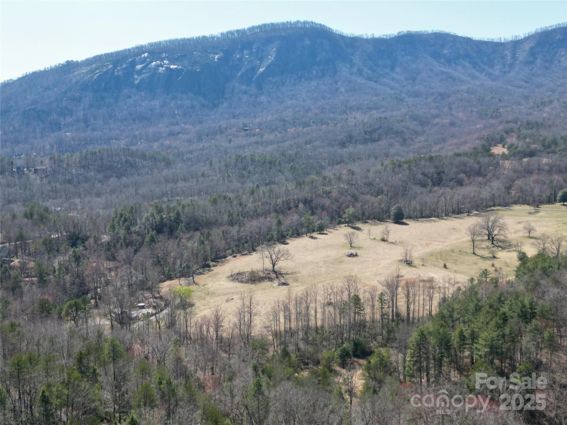 Lot 57 Banjo Court - Photo 2