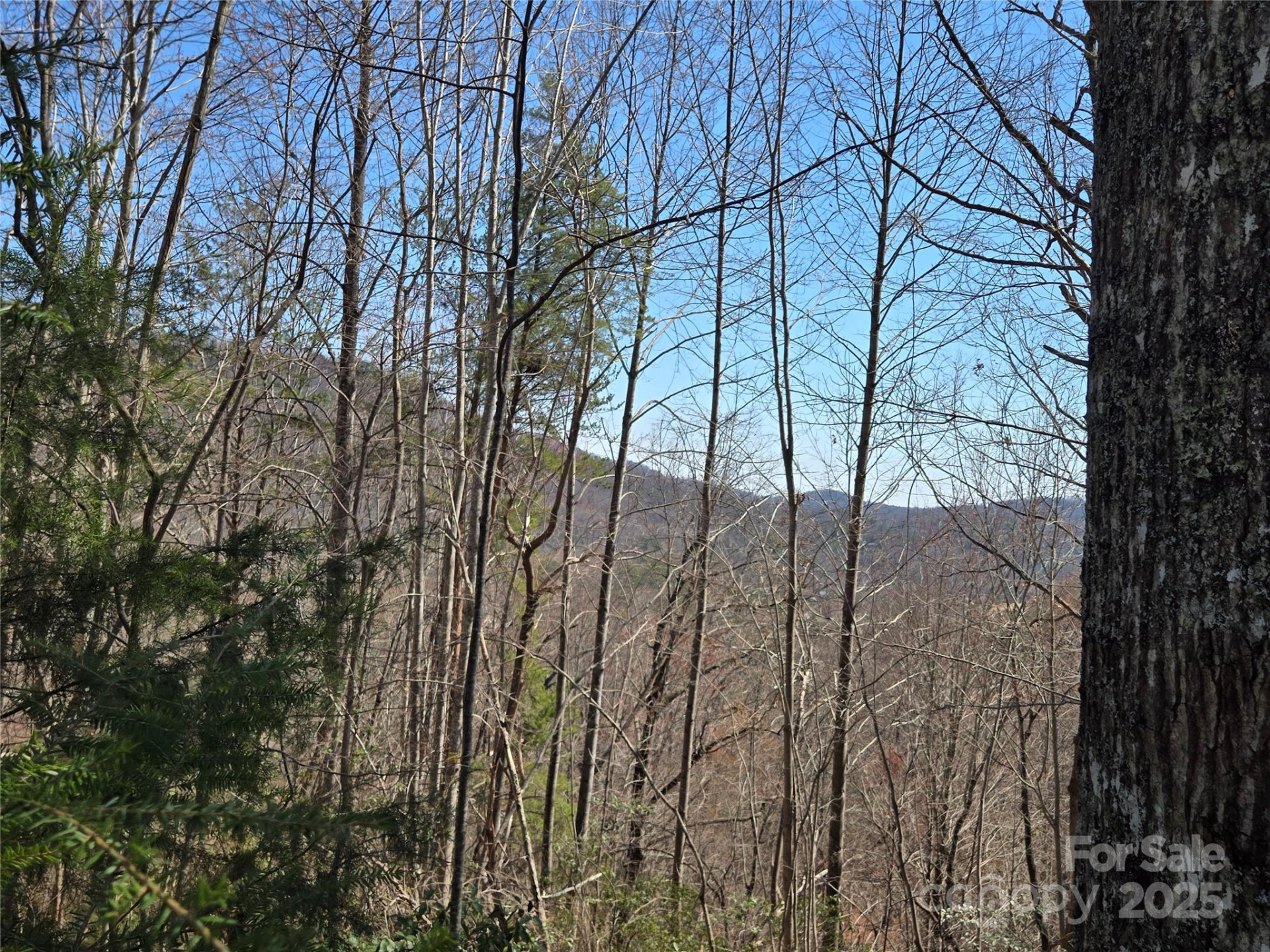 Lot 57 Banjo Court - Photo 11