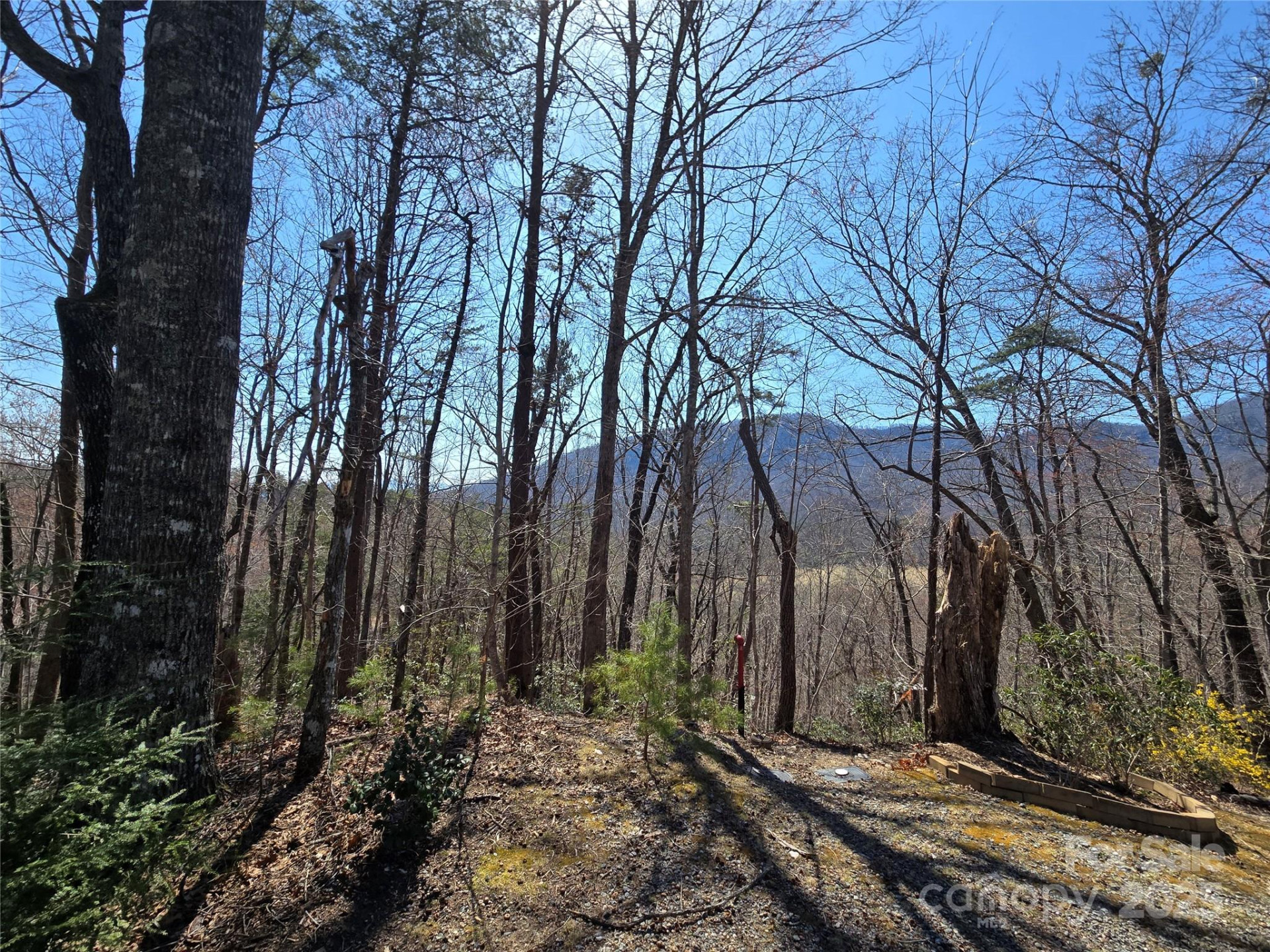 Lot 57 Banjo Court - Photo 12