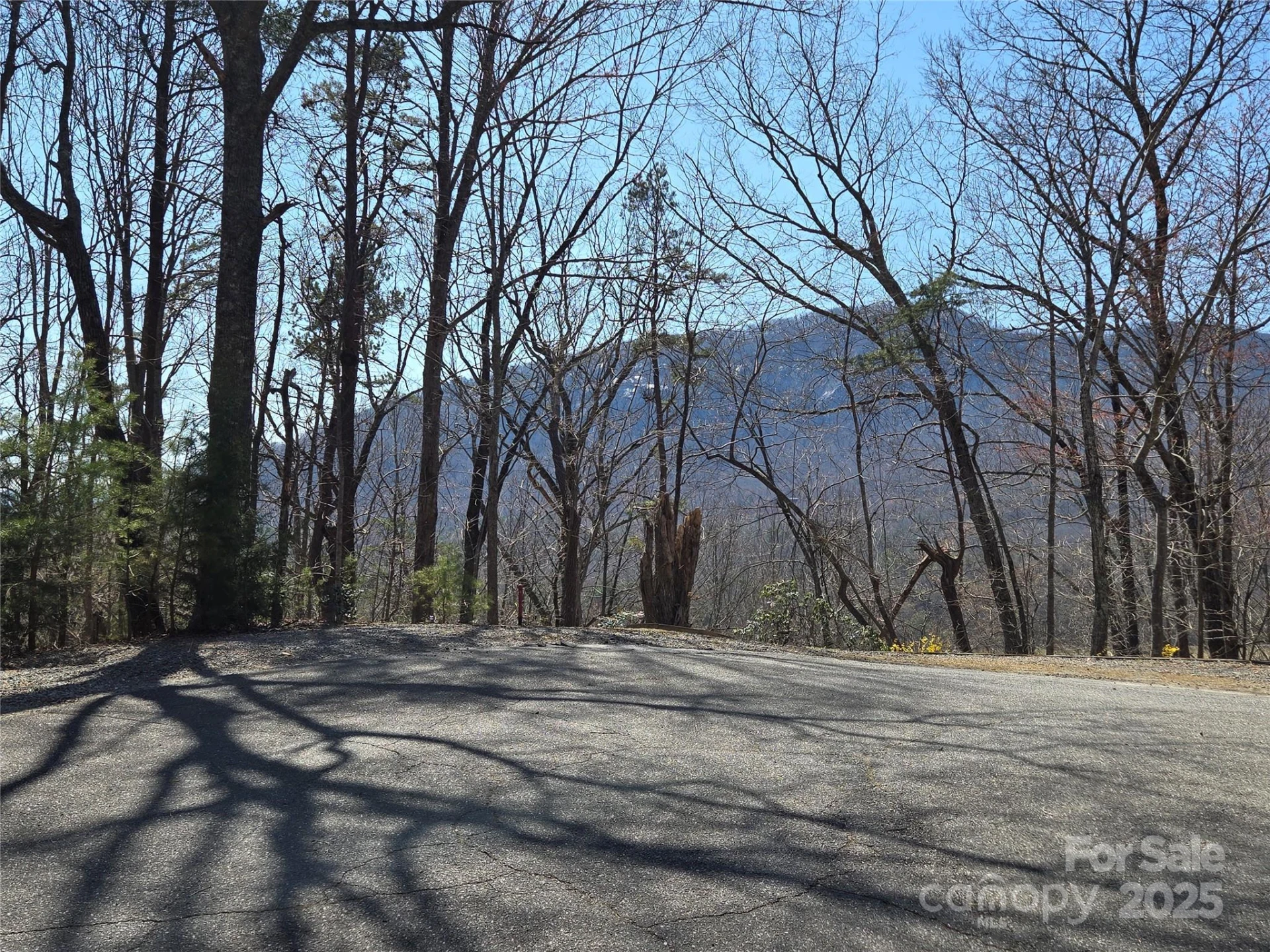 Lot 57 Banjo Court - Photo 3