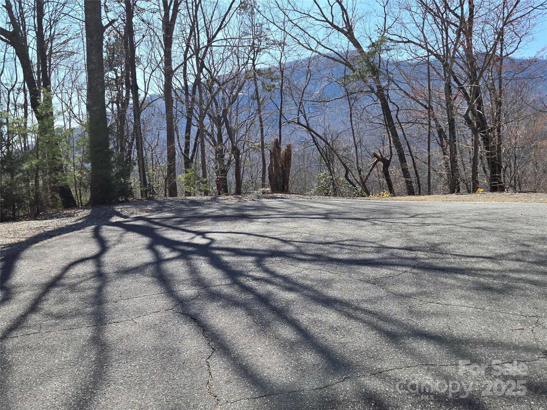 Lot 57 Banjo Court - Photo 4