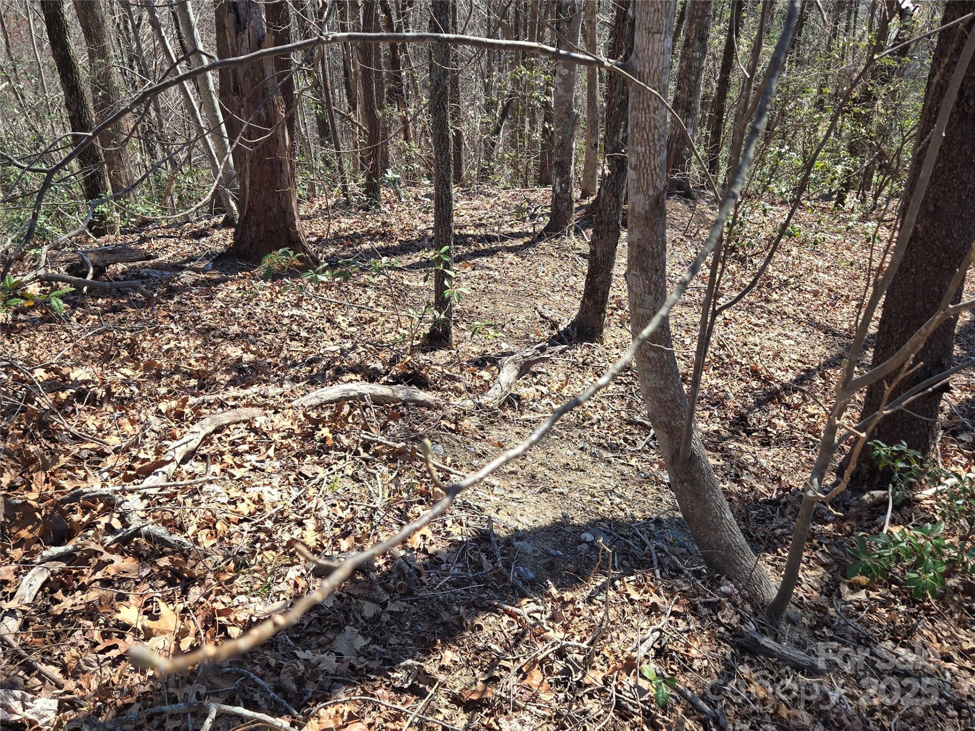 Lot 57 Banjo Court - Photo 6