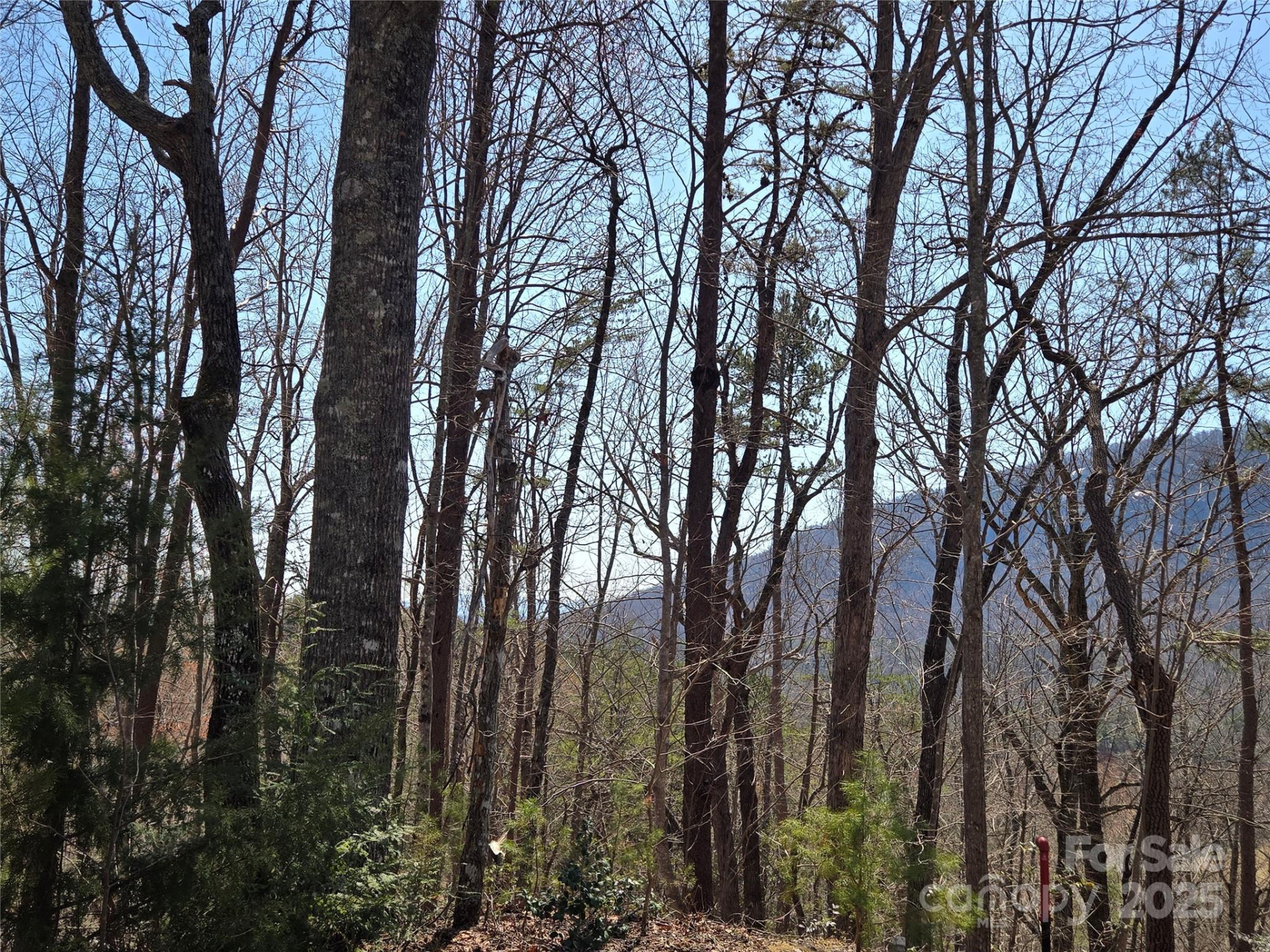 Lot 57 Banjo Court - Photo 7