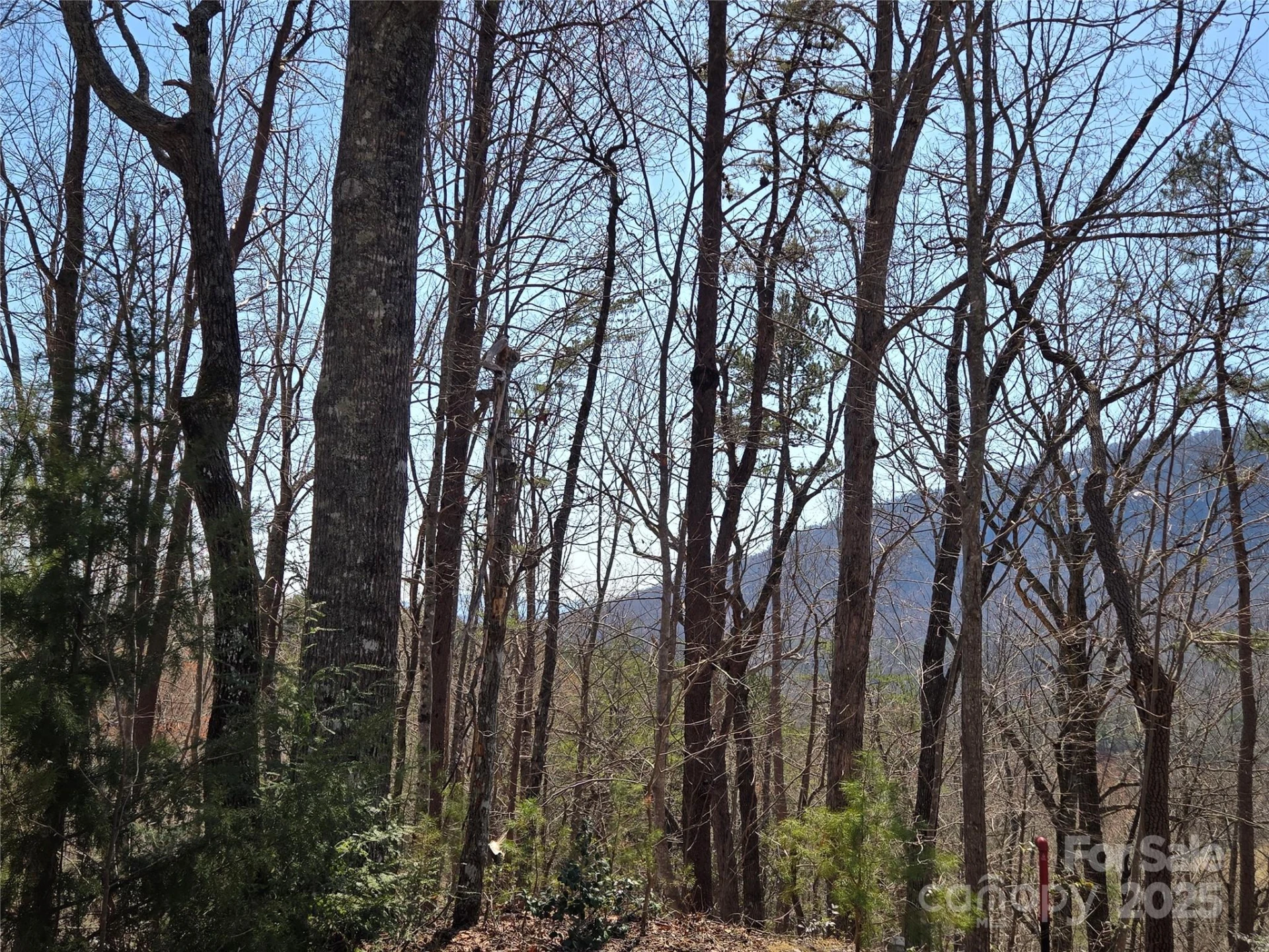 Lot 57 Banjo Court - Photo 7