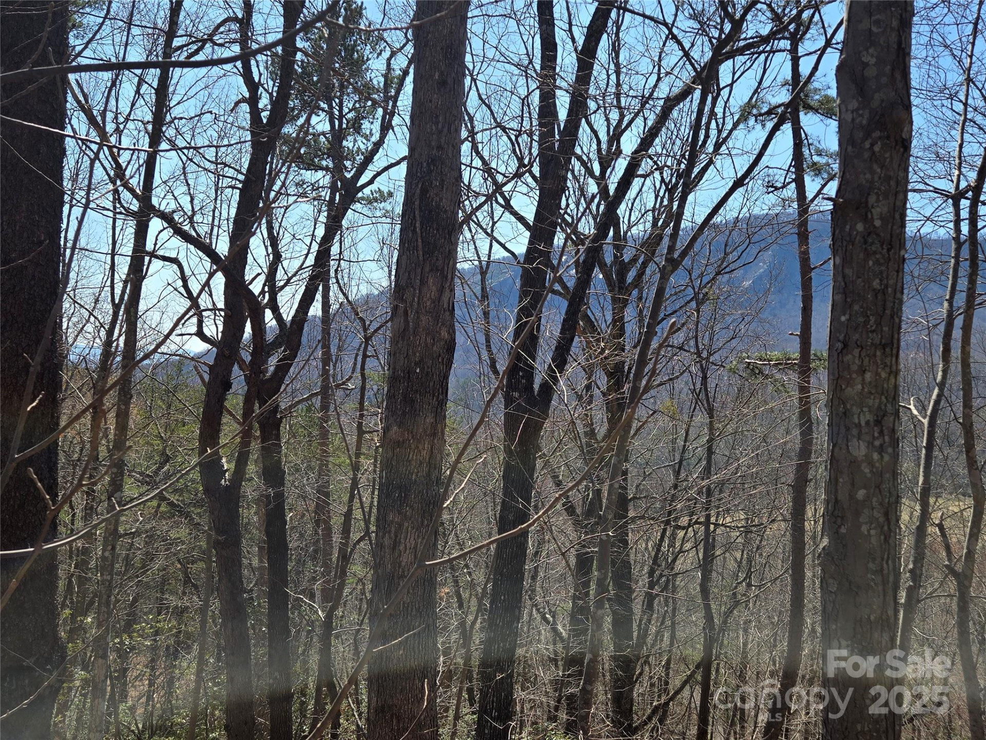 Lot 57 Banjo Court - Photo 8