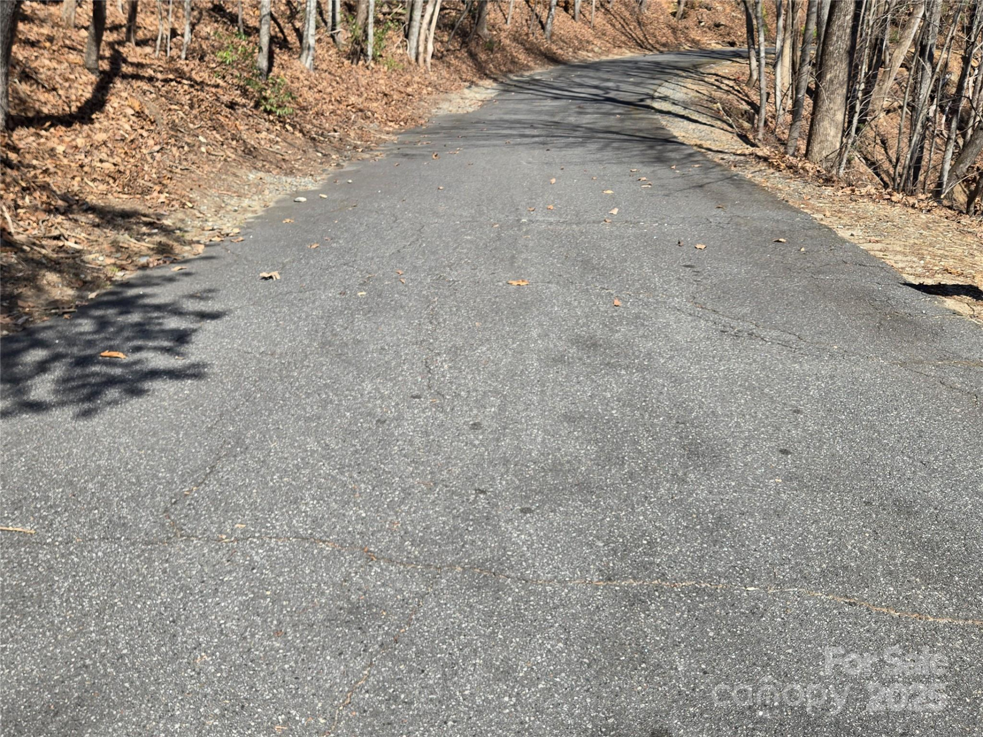 Lot 57 Banjo Court - Photo 9