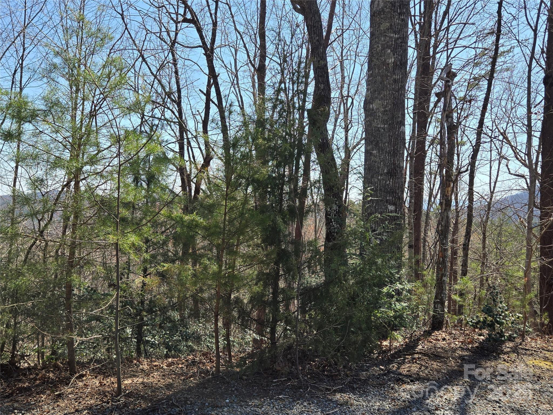 Lot 57 Banjo Court - Photo 10