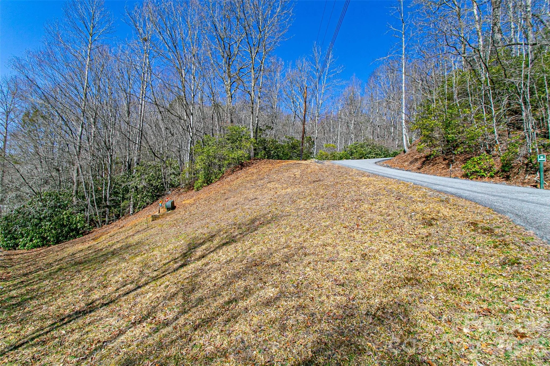 TBD Still Branch Road #L20 - Photo 2