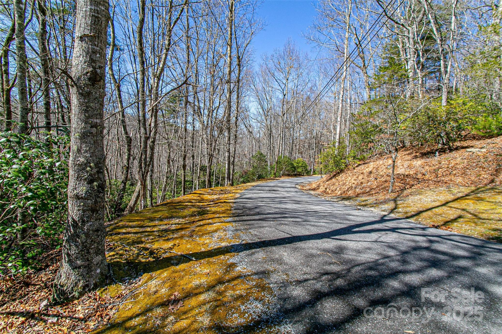 TBD Still Branch Road #L20 - Photo 11