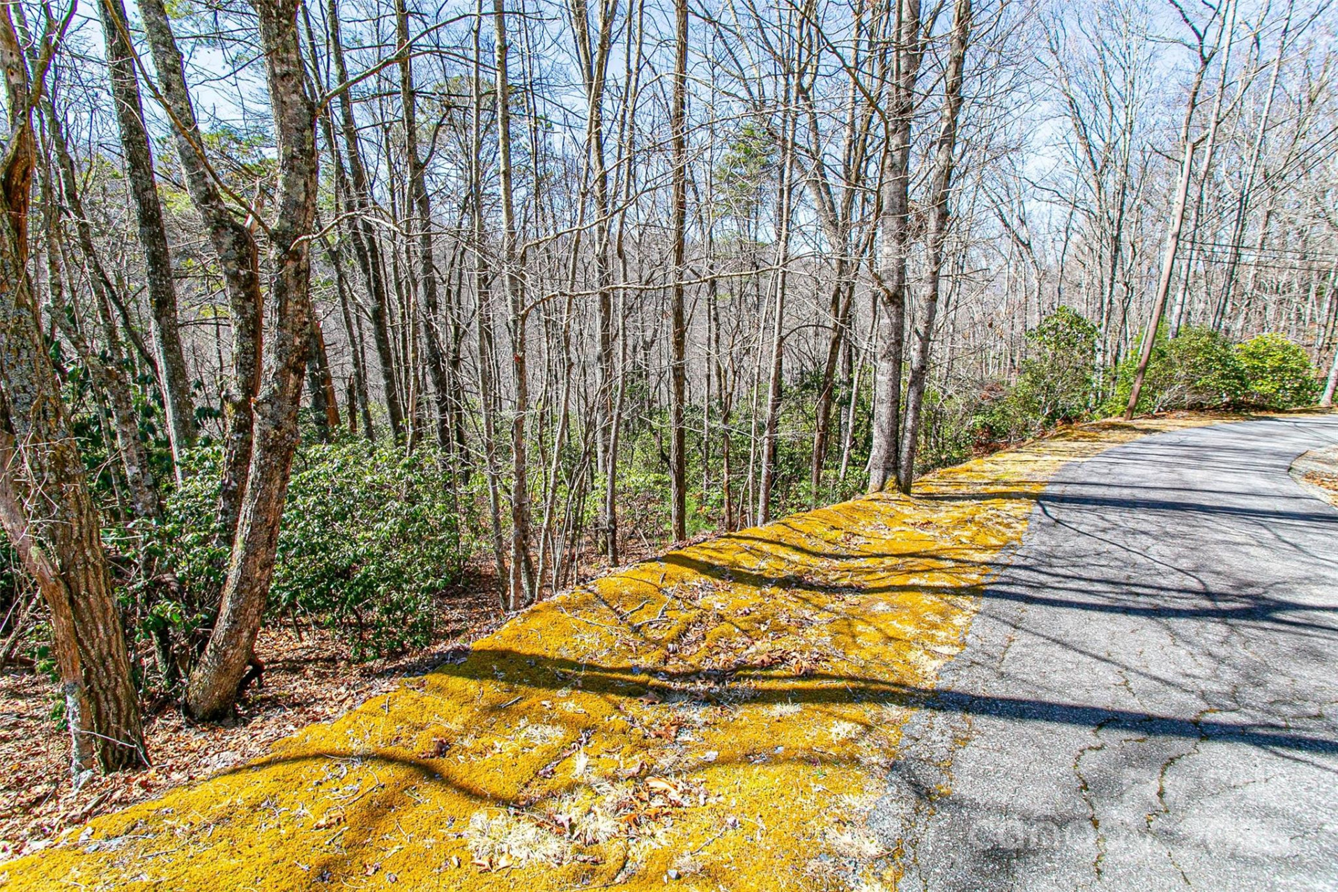 TBD Still Branch Road #L20 - Photo 15